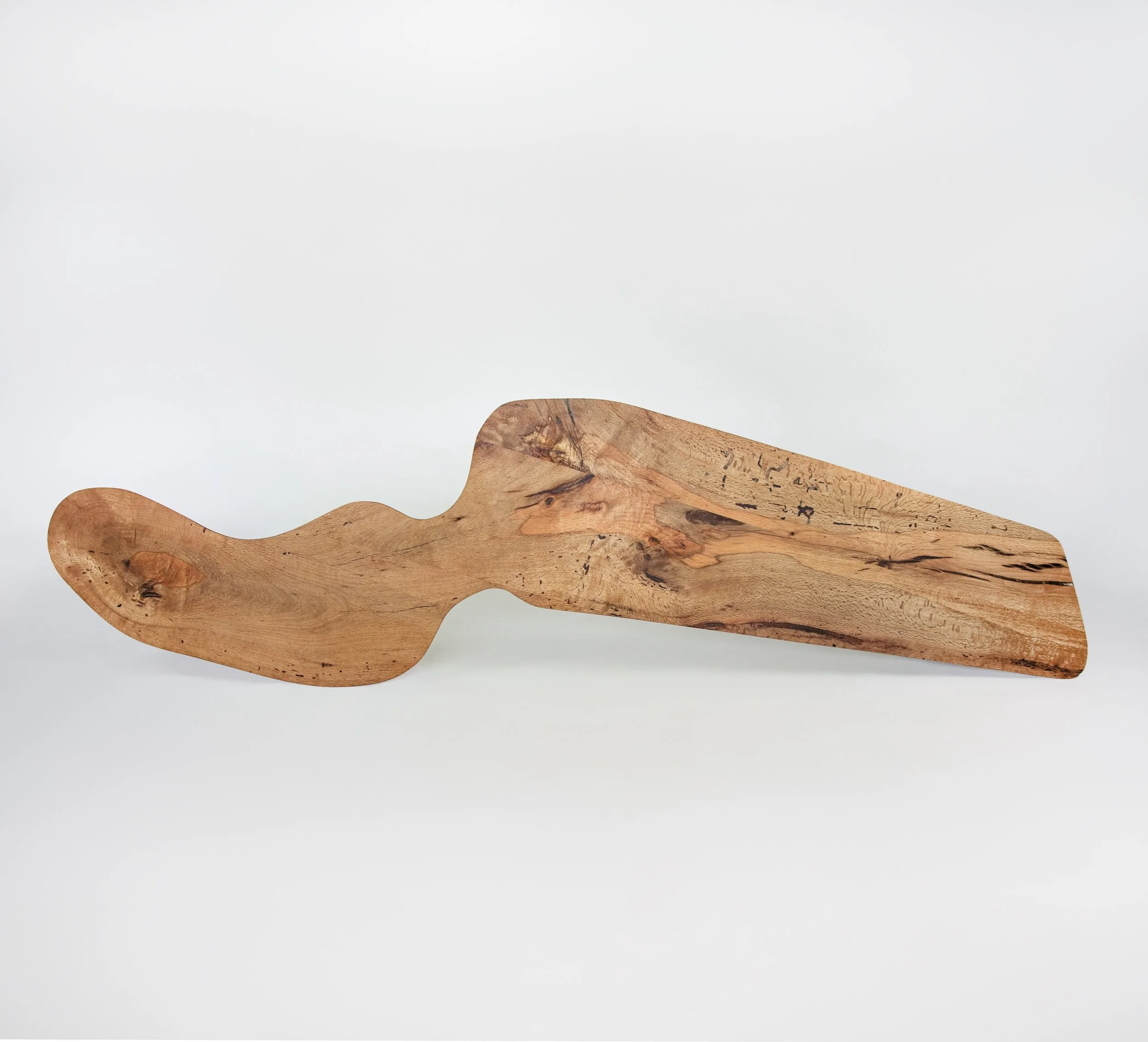 5LT birdseye1 copy.jpeg