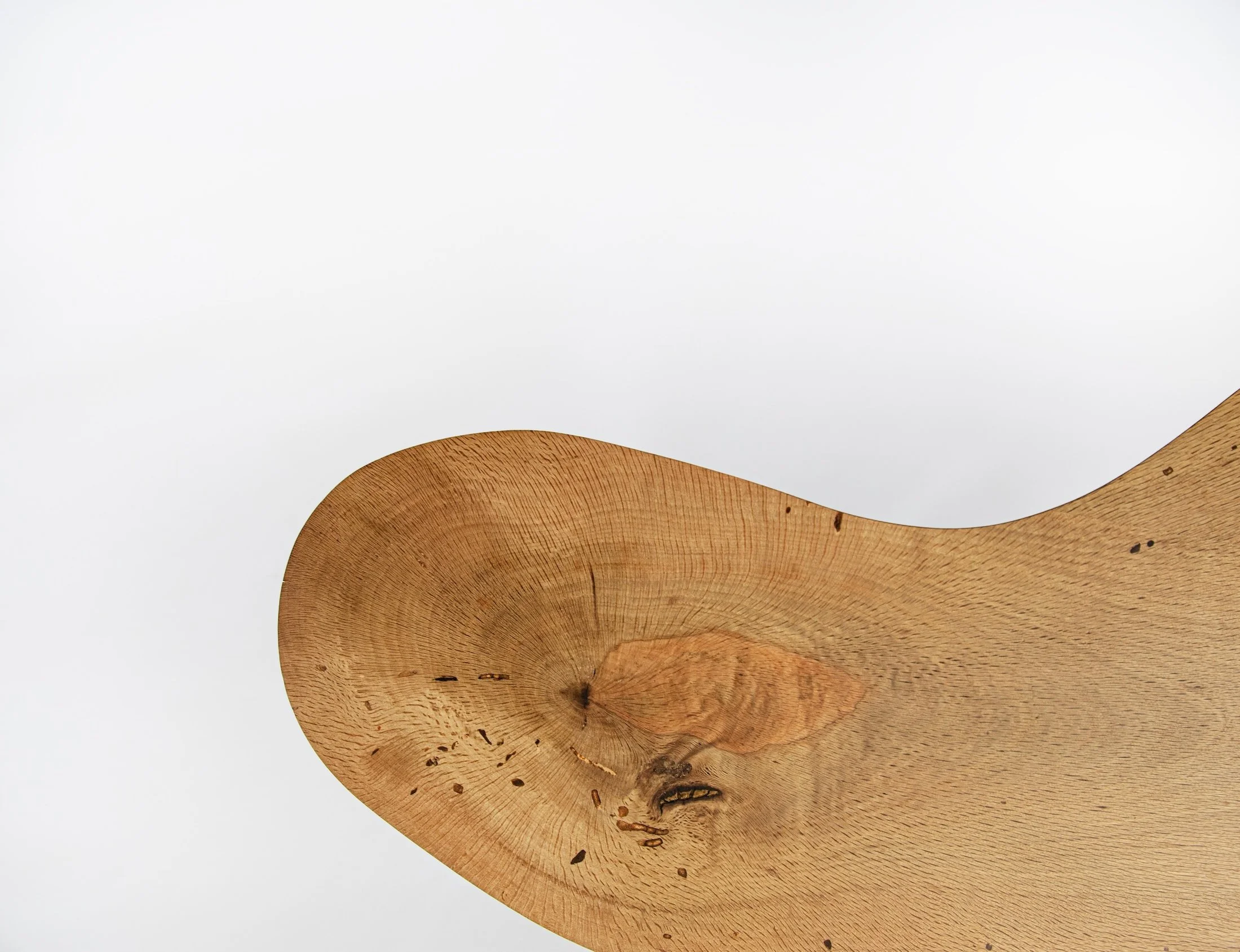 5LT birdseyedetail1 copy.jpeg