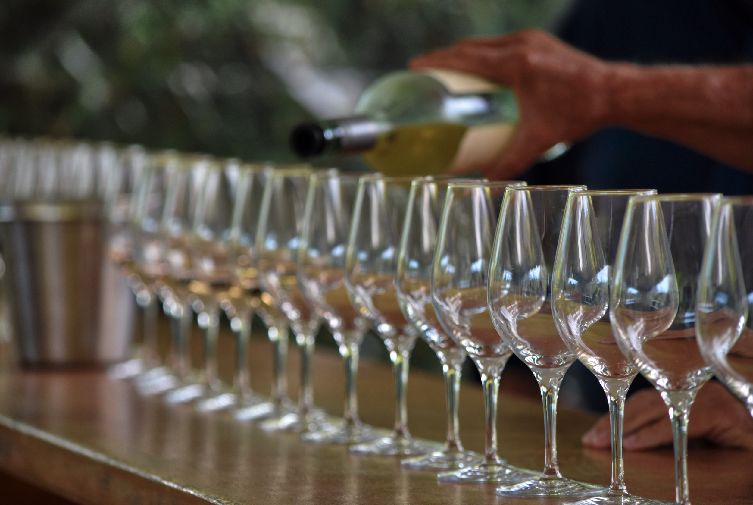 Virginia's 'First Wine Trail’ of Top-Rated Wineries