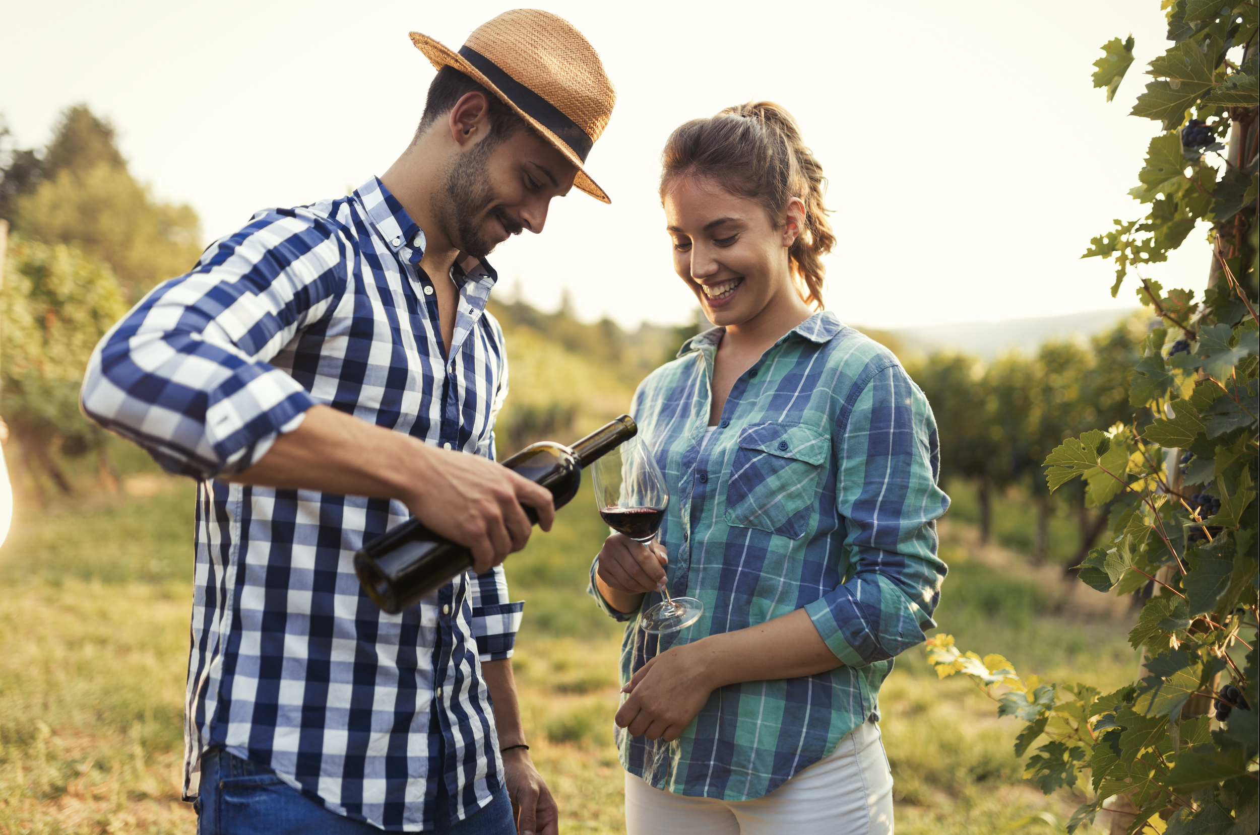 Monticello Wine Tour - Best Winery Region - Wine Region of the Year, 2023 - Wine Enthusiast 