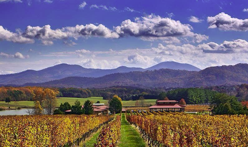 The Changing of the Guard: Tony and Elizabeth Smith Sell Afton Mountain Vineyards to Brad and Yelena Dickerson