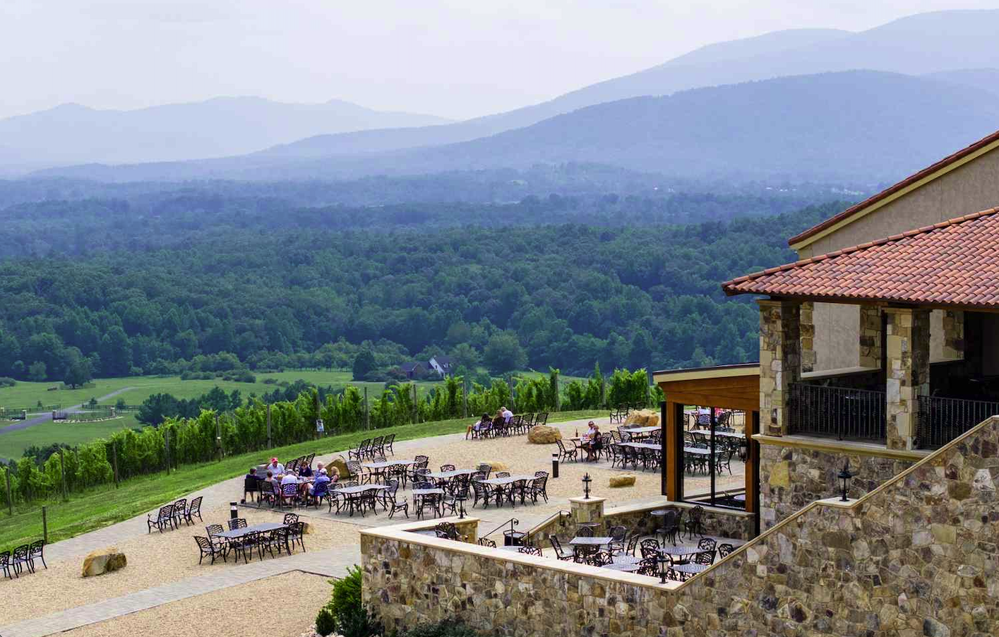 Winery Tour with Private Drive in Central VA