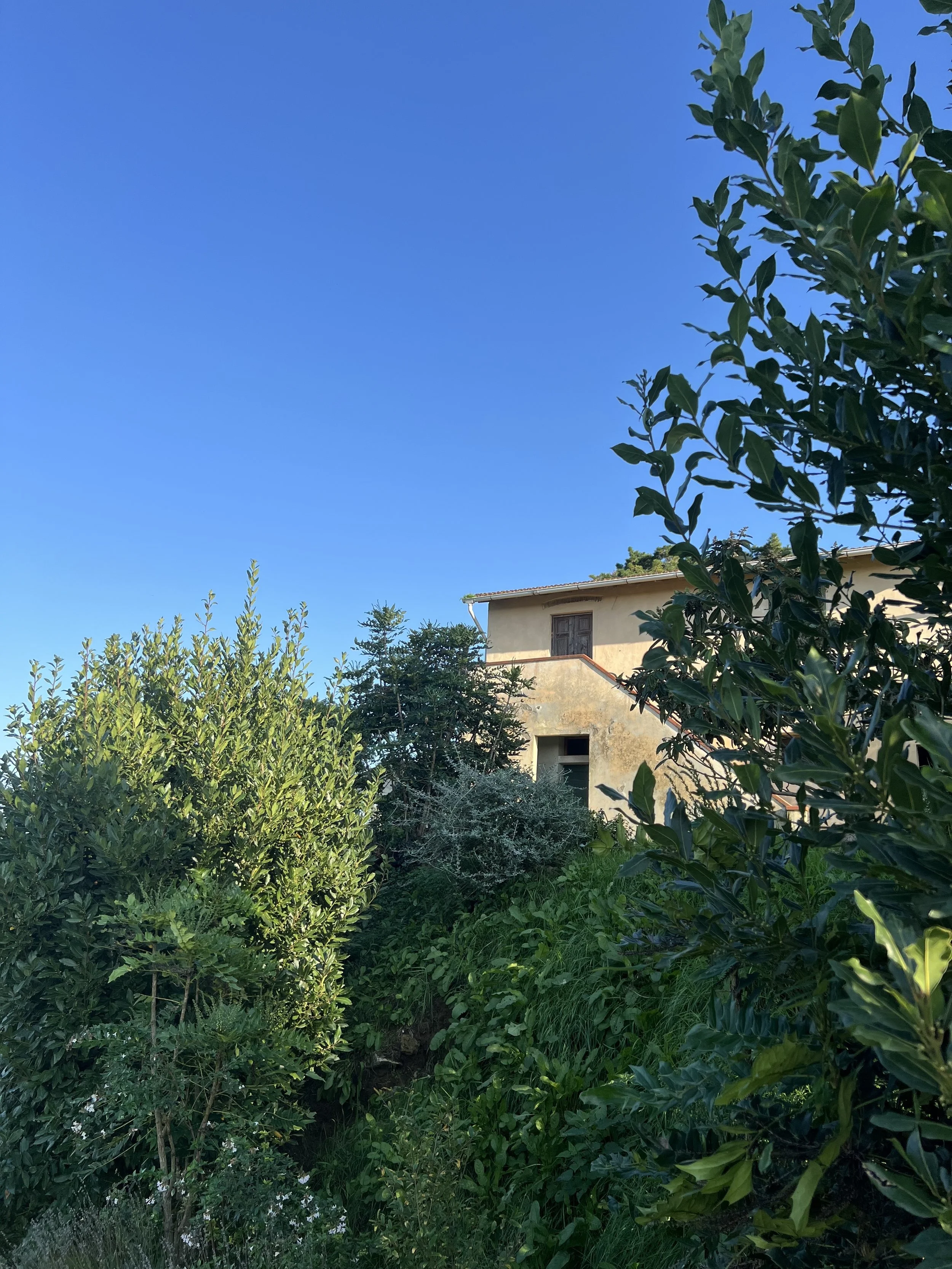 Haus aussen Anbau.jpg