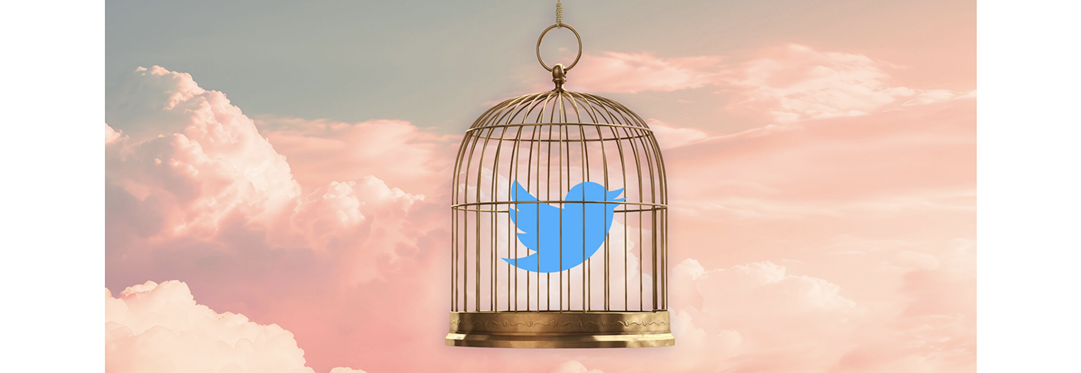 TwitterCage.png