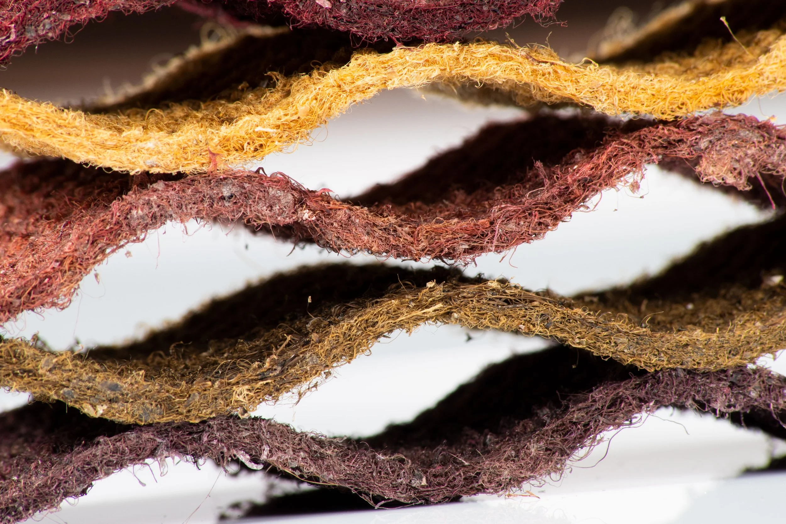 02_Seastex Copyright 2023 - Byssus R&D Samples 03.jpg