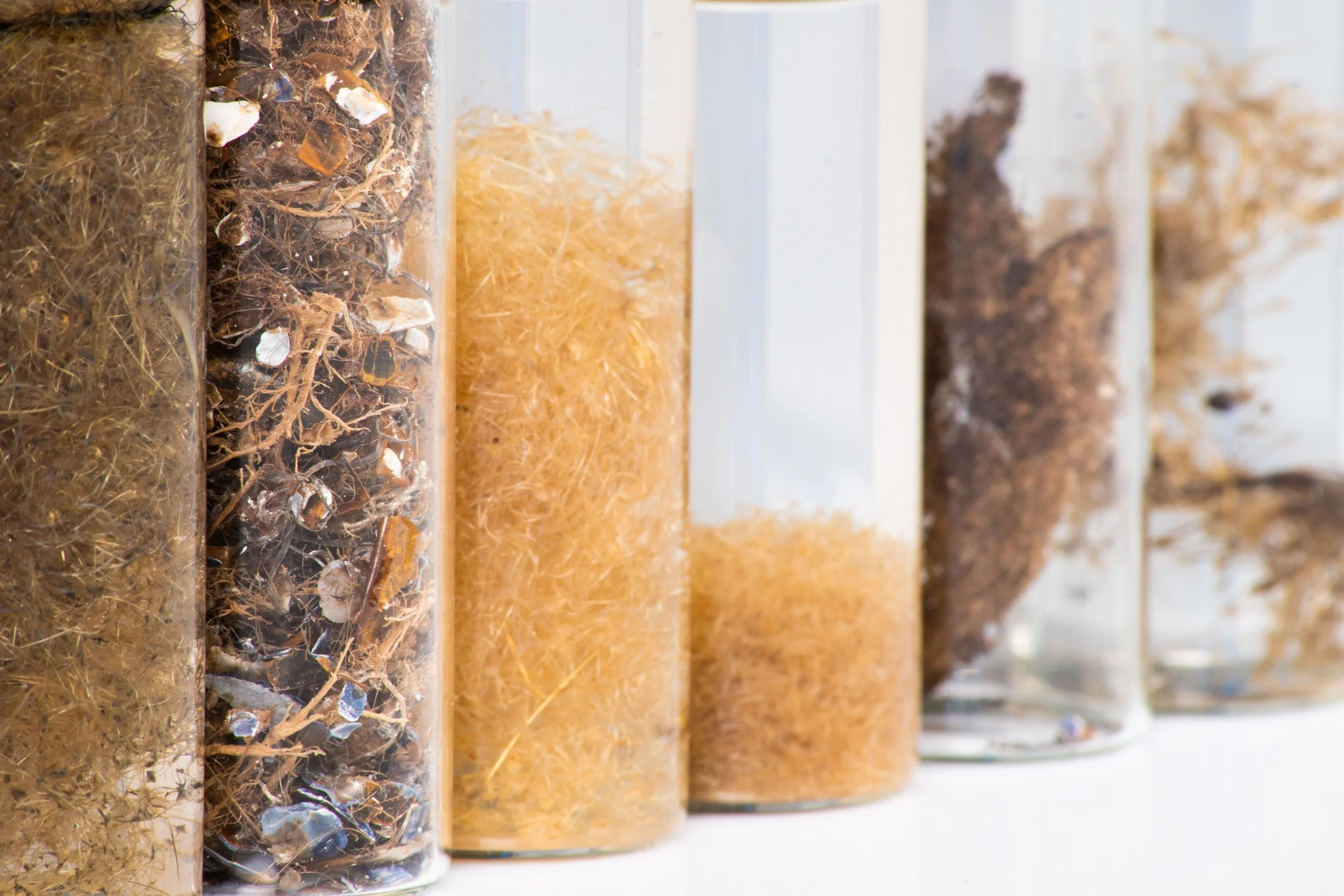 04_Seastex Copyright 2023 - Byssus R&D Samples 06.jpg