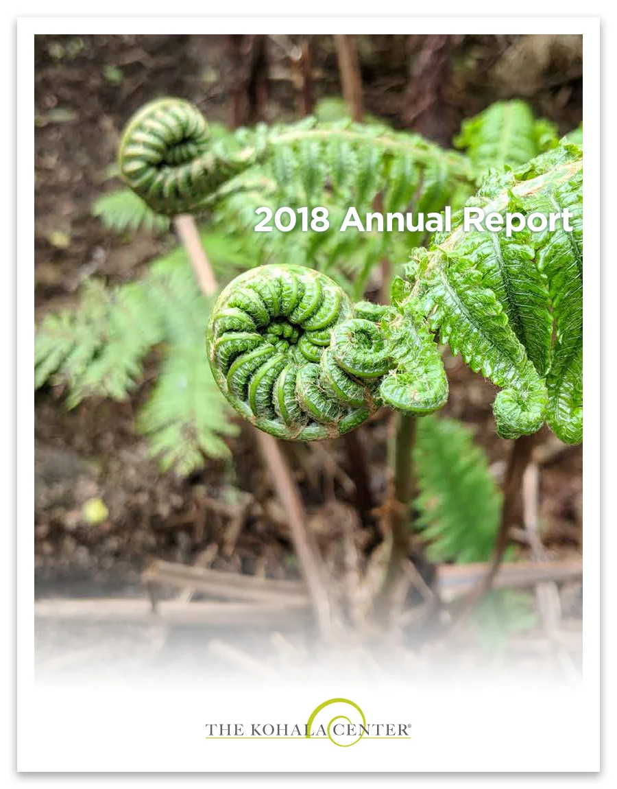 TKC_ANNUAL_REPORT_2018_GGv2-SingleSheets 1.jpg