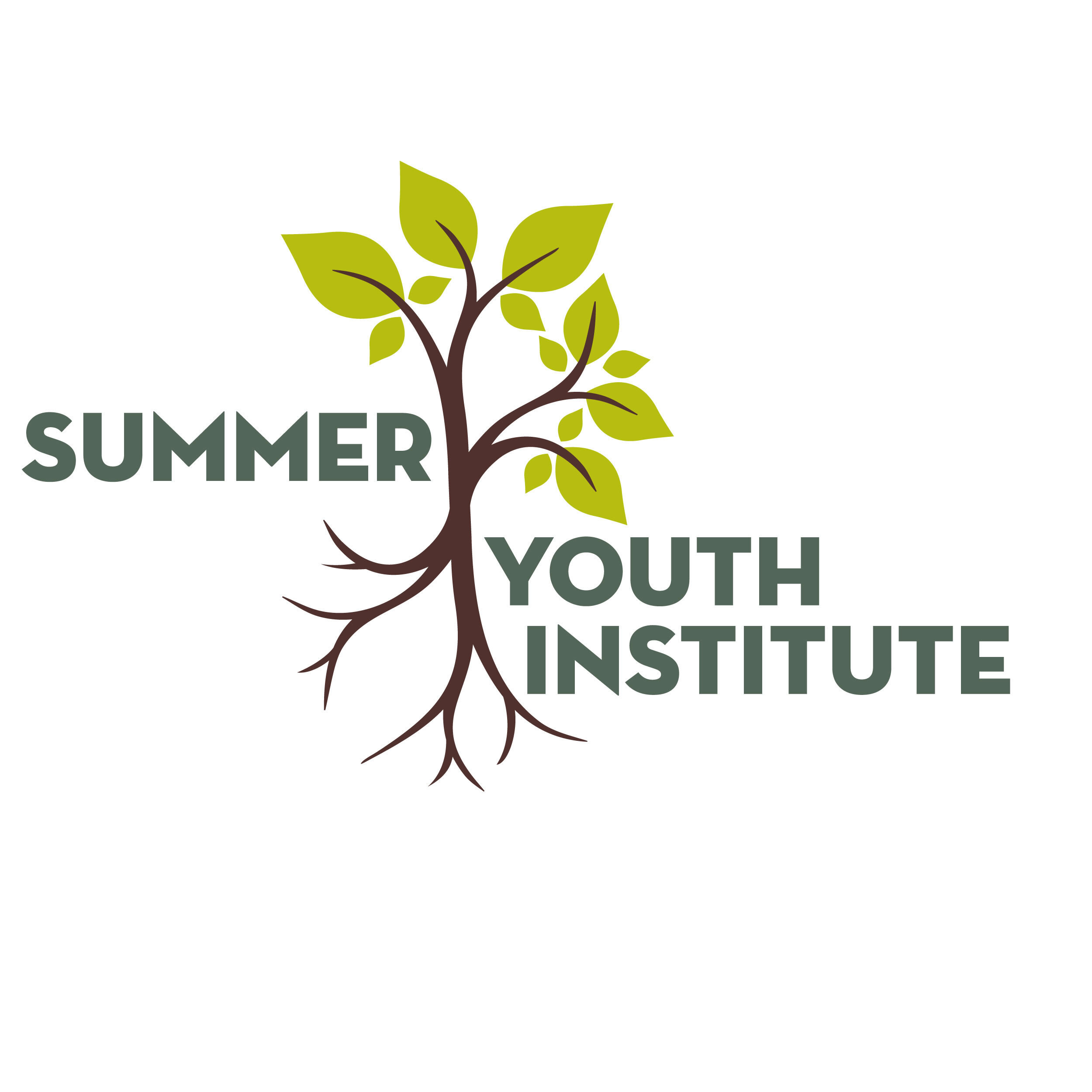 TWI-SummerYouthInstitute.jpg