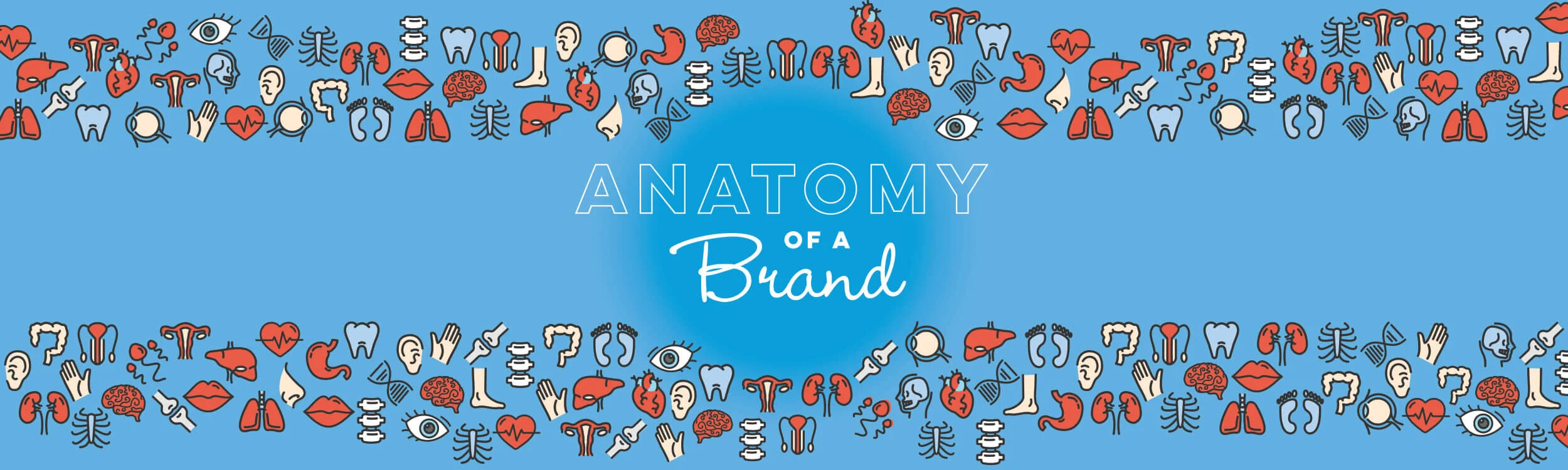 Anatomy-Slide-Cover.jpeg