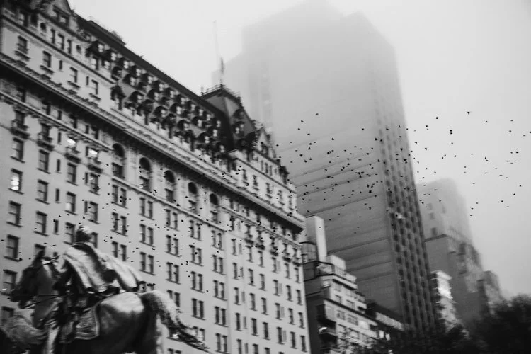 Freda+Banks_NYC_2019_001.jpg