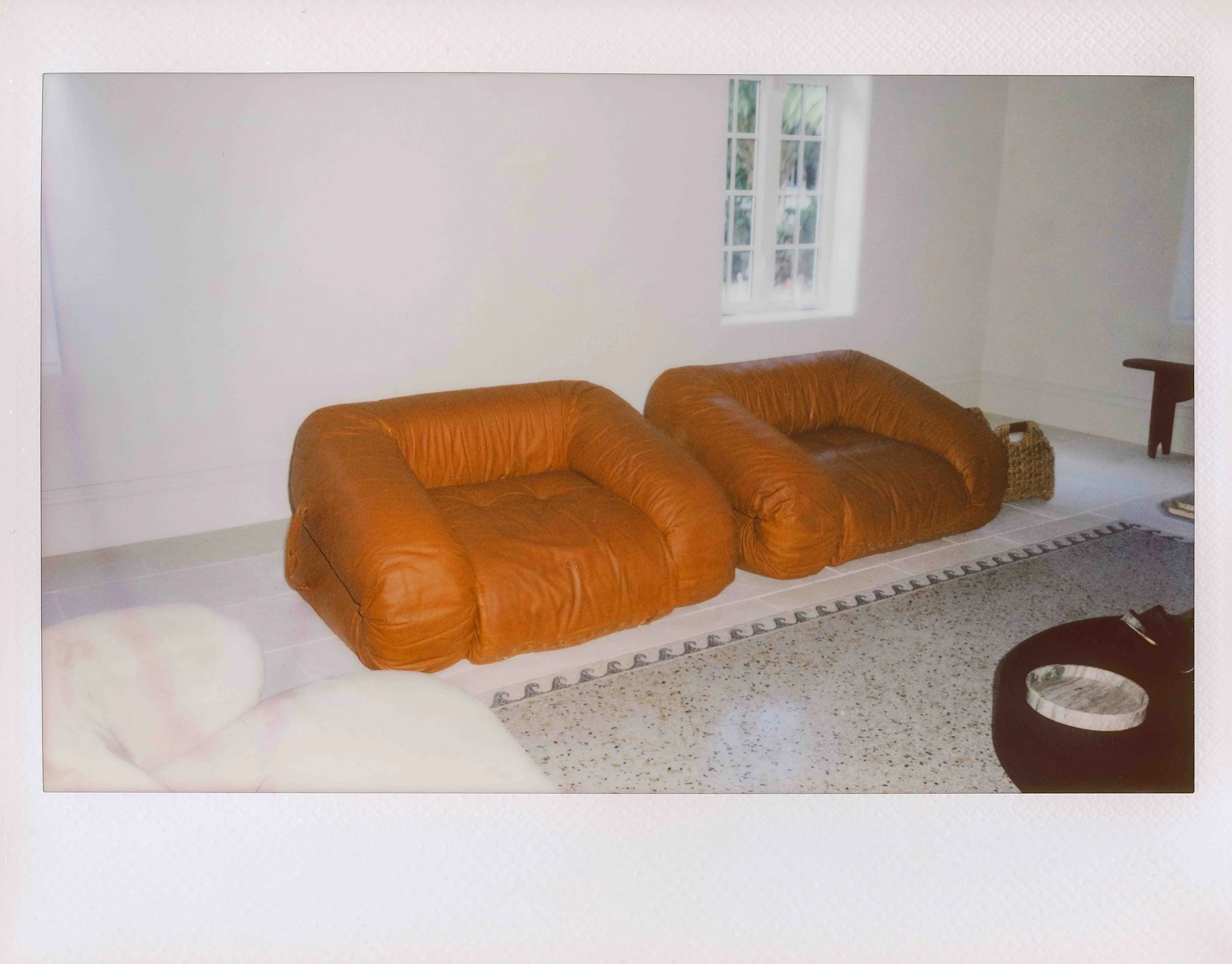 FB2511_Freda Banks_Bettina Looney_667.jpg