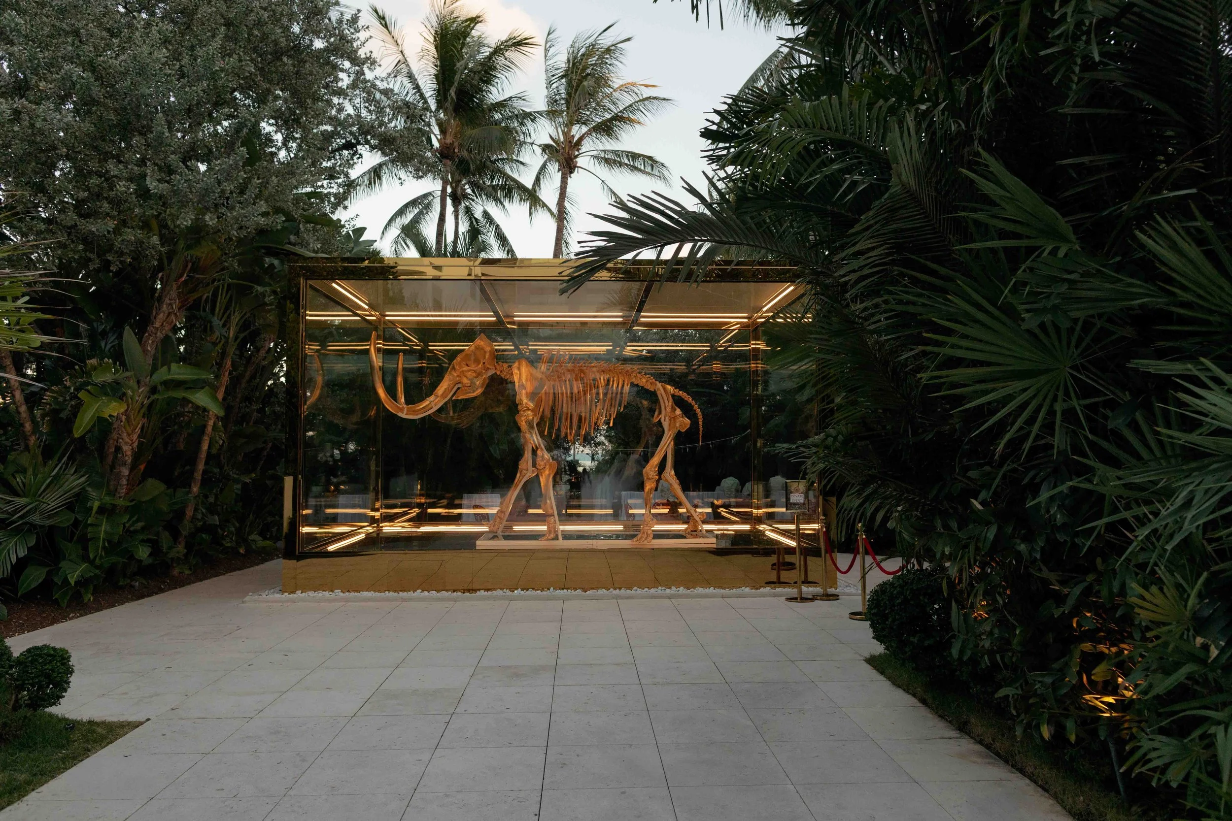 FB2511_Bettina Looney_629.jpg