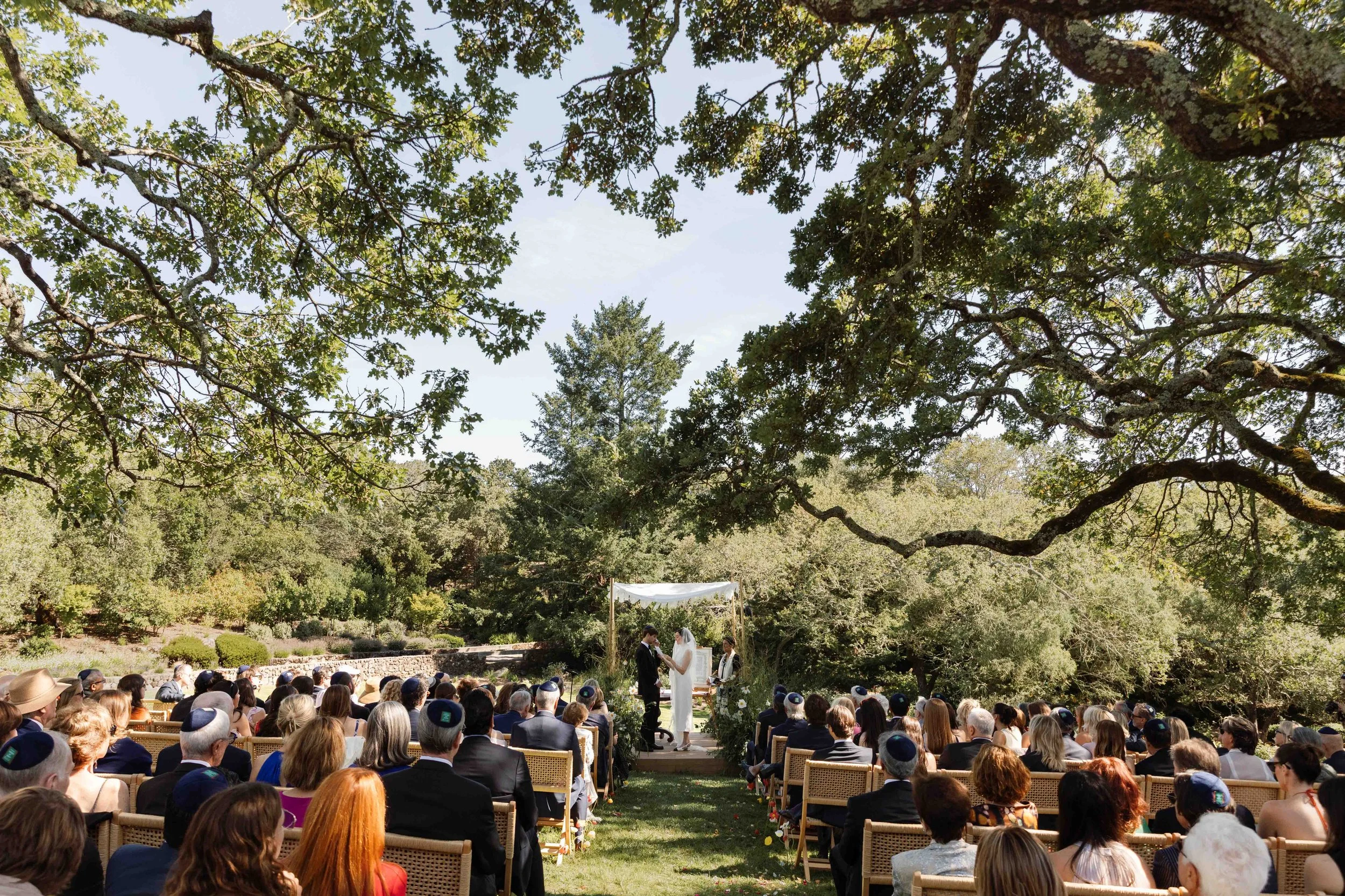 Freda Banks_Lauren + Jonny_Wedding_2026_2936.jpg