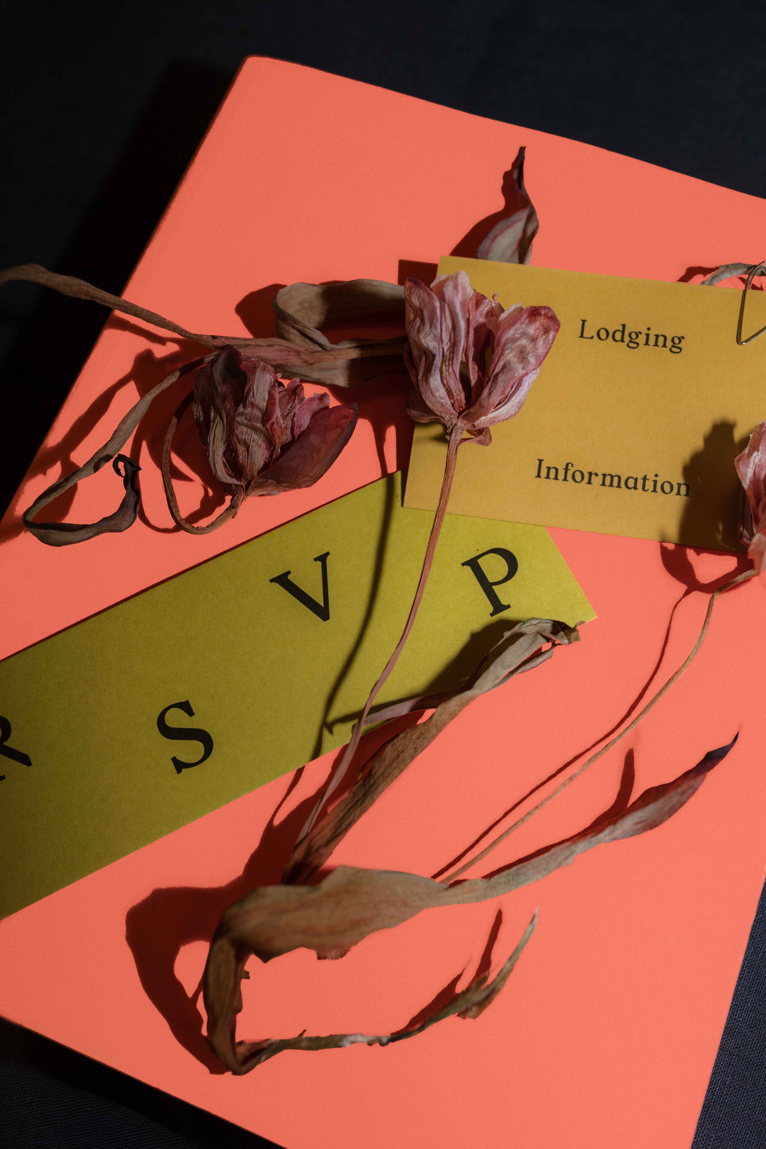 FB2510_Anabelle + Nick_Sag Harbor_Wedding_200.jpg