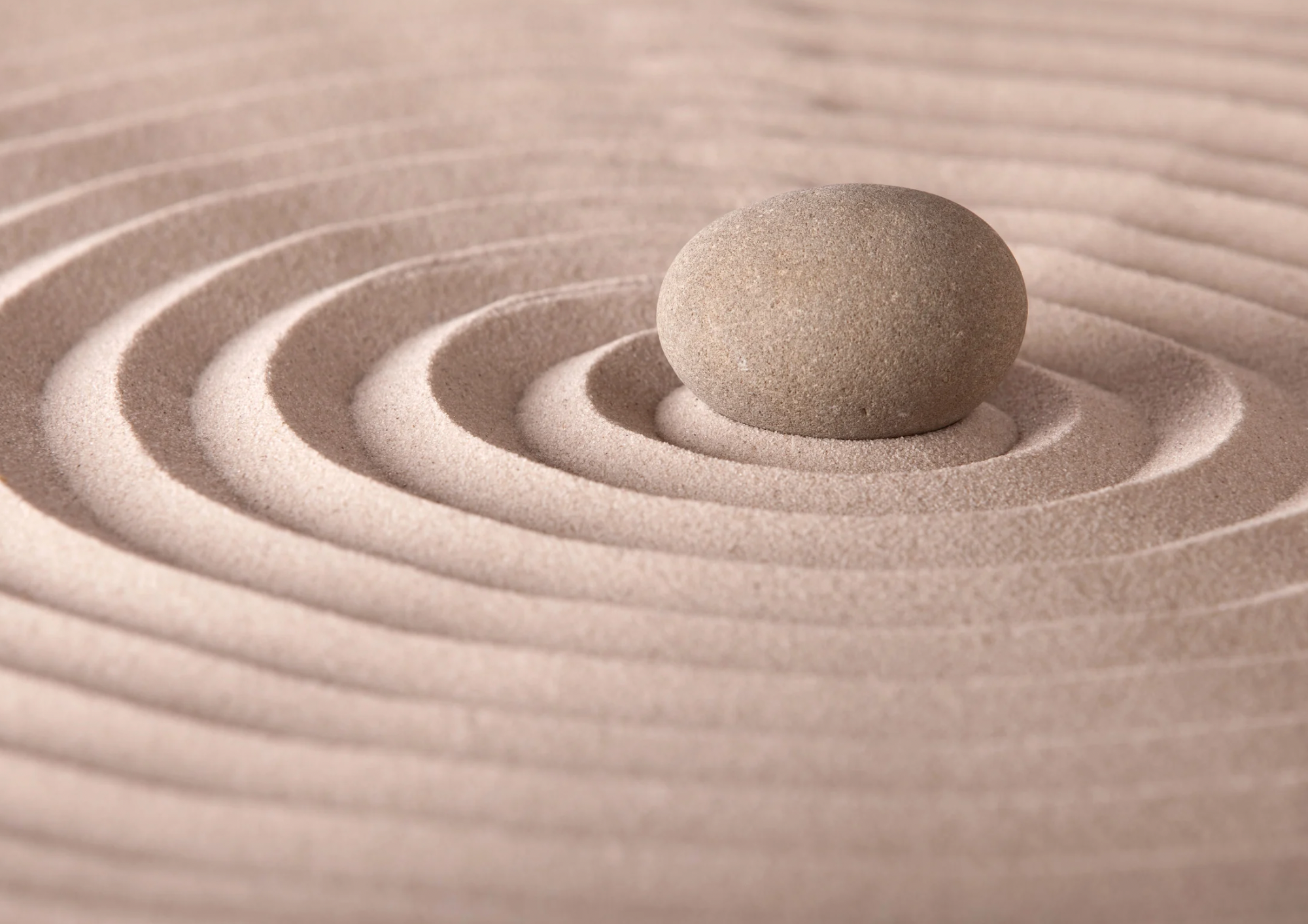 7250E62F-4C8C-4499-832F-F86E2440C94F 2.PNG