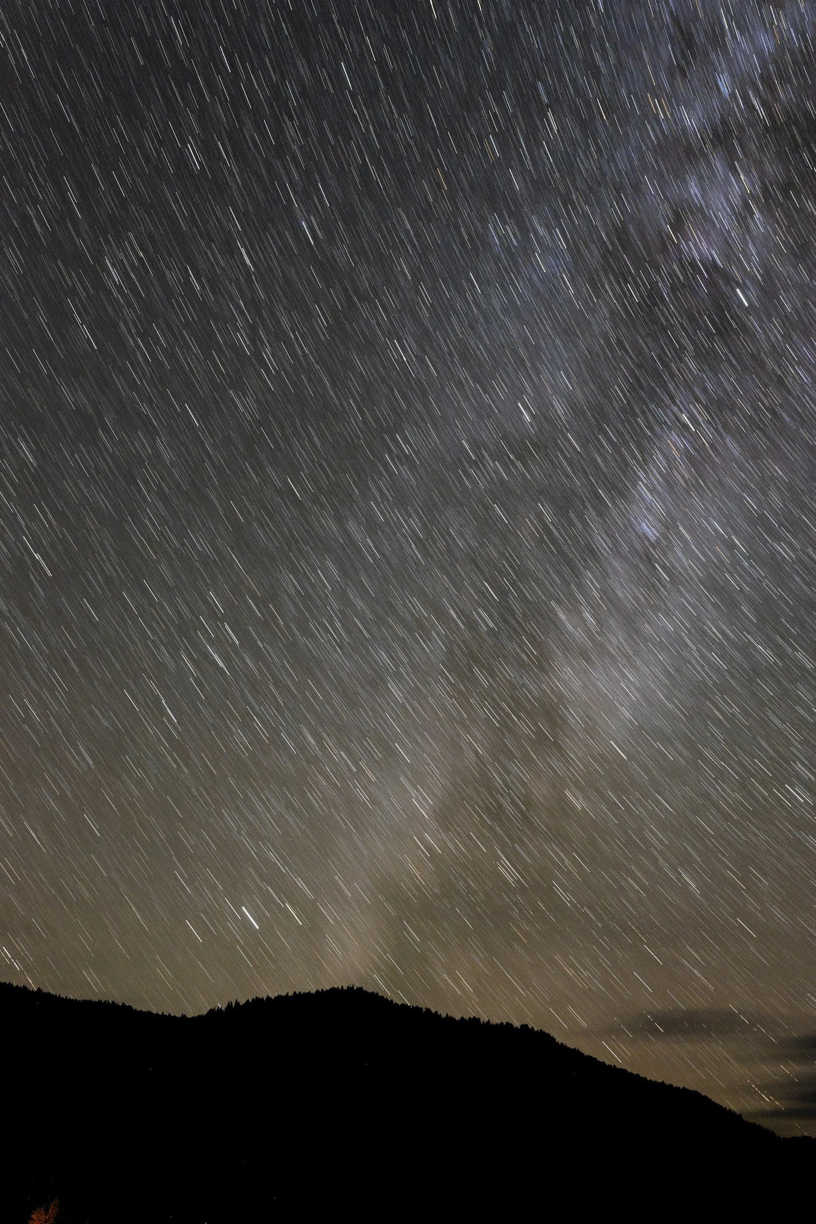 The Energy of Feminine Leadership - How Your Biofield and Body Influence Your Success