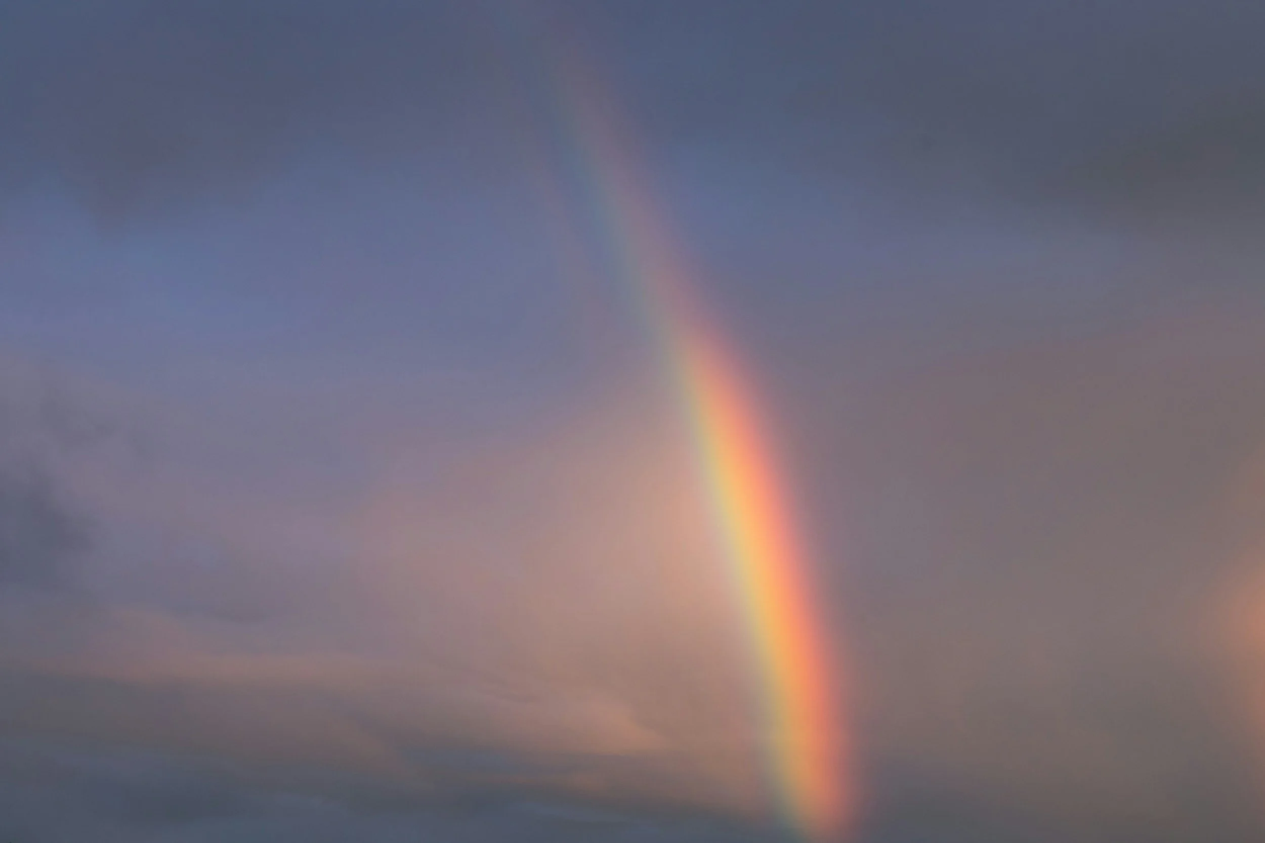 Support Your Nervous System With Nutrition.