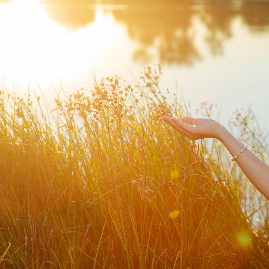 C5CD1610-3820-4CFF-BDB9-E4DA8163C6E6 4.PNG