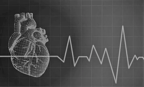 Elderly Patients with Heart Failure Have Lower NAD+ Levels