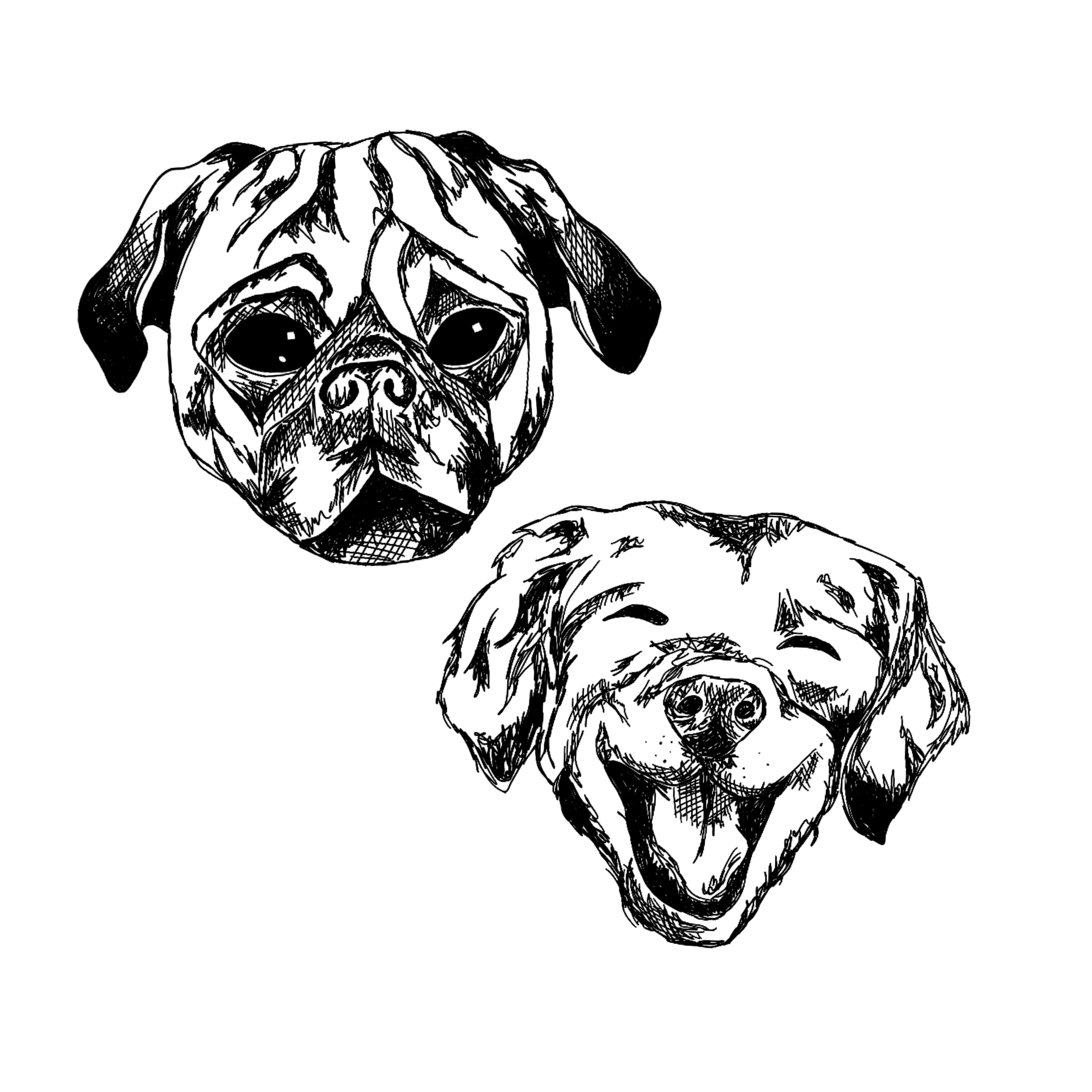 Untitled_Artwork 12 copy 2.png
