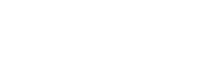 WYNK Lifestyle Nutrition