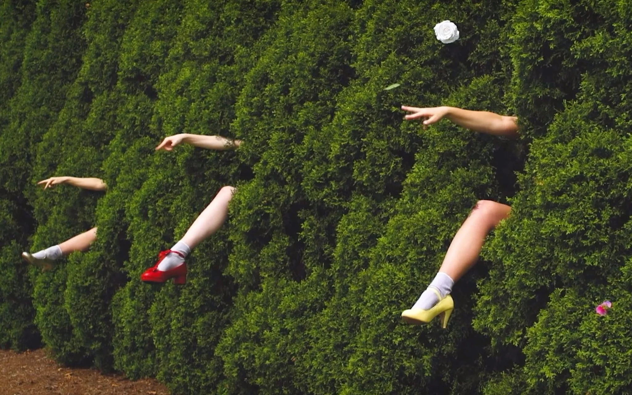 Eutierria+6limbs+Leah+O%27Donnell+Choreography.jpg