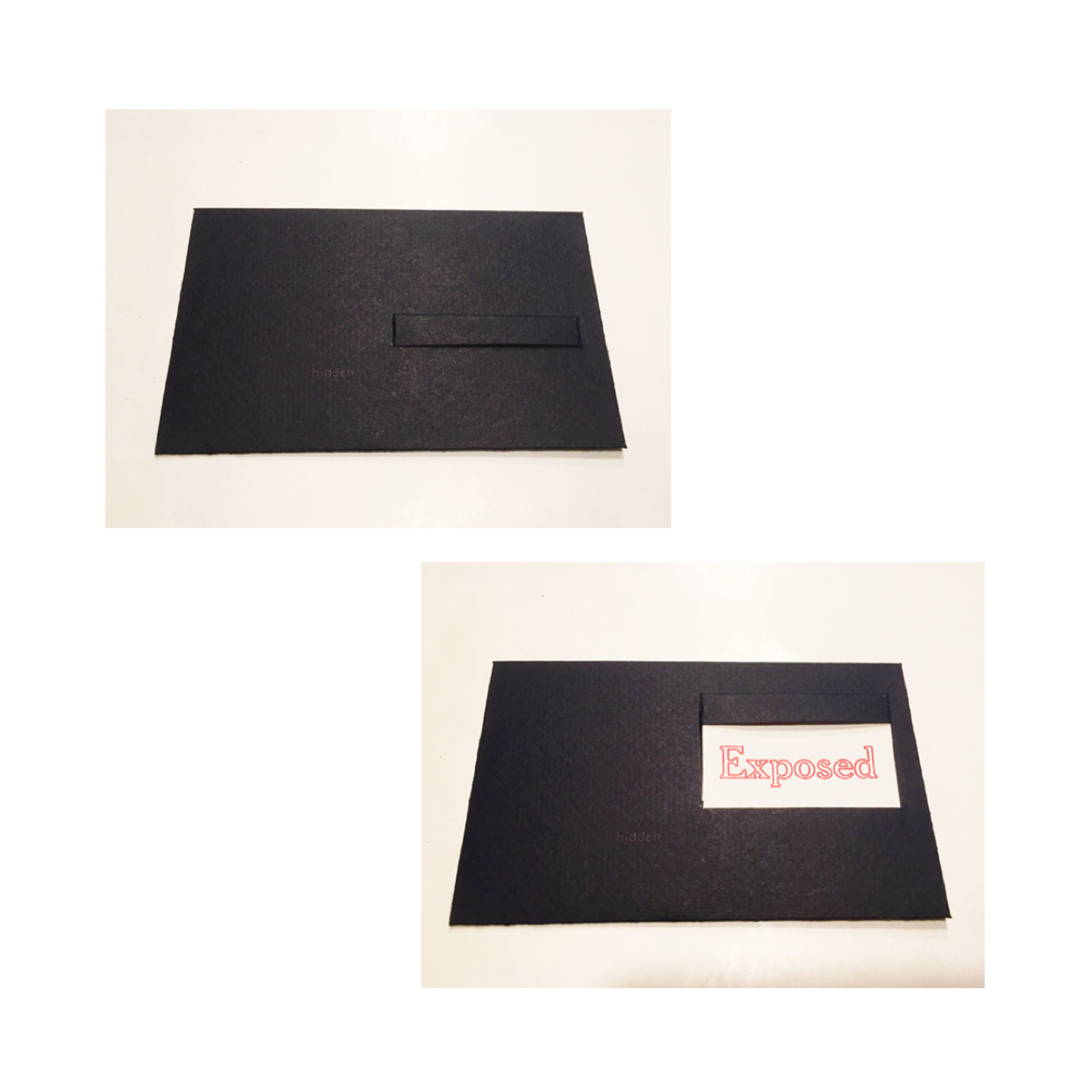 HIDDEN-EXPOSED1.jpg