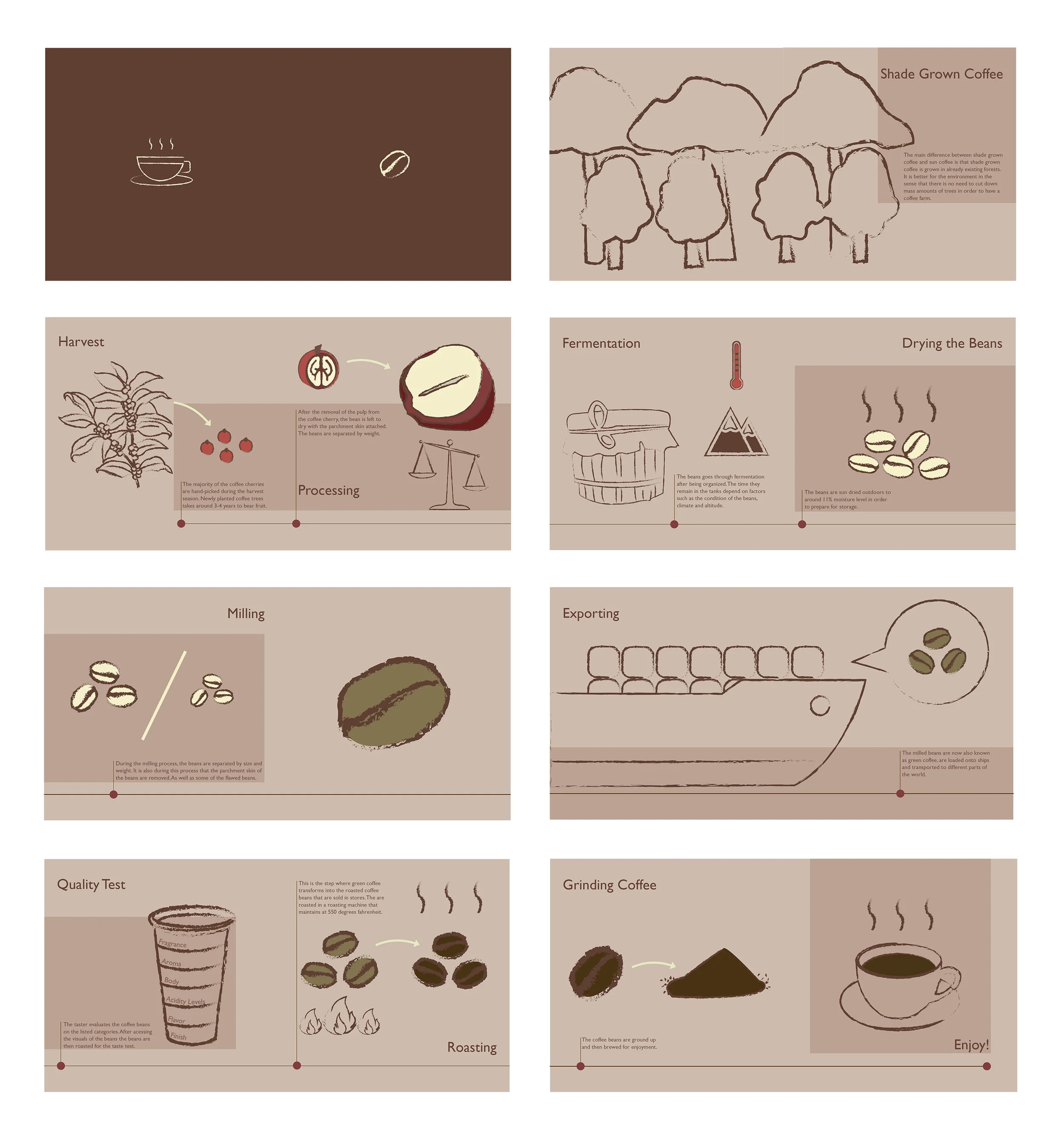 BeanToCoffee.jpg