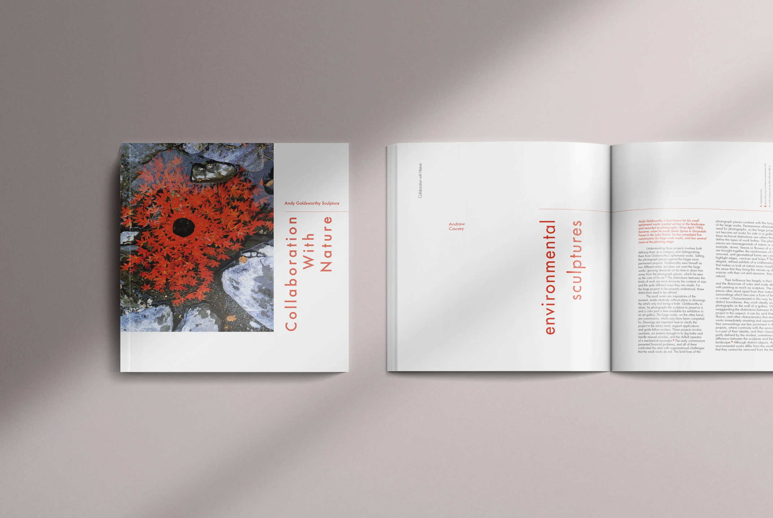 andygoldsworthy_mockup.jpg