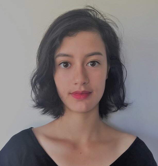 Julie Belleville, CD&H