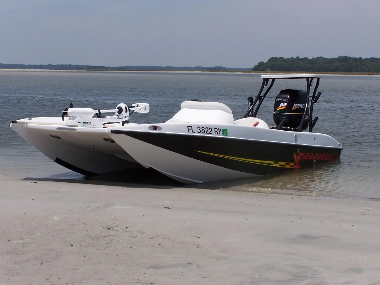 Lanier_Custom_Boats_2[1].JPG