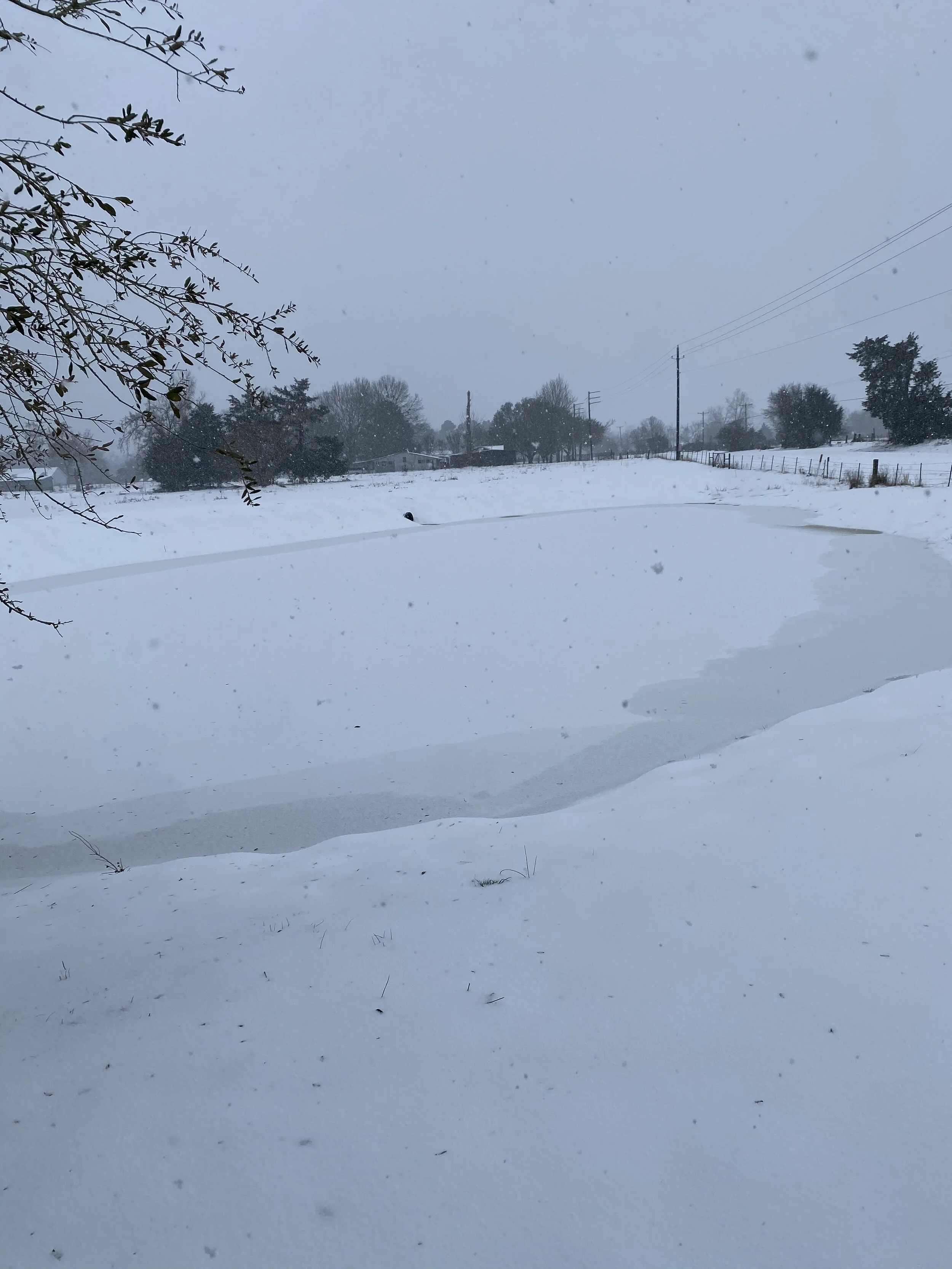 Snowmageddon