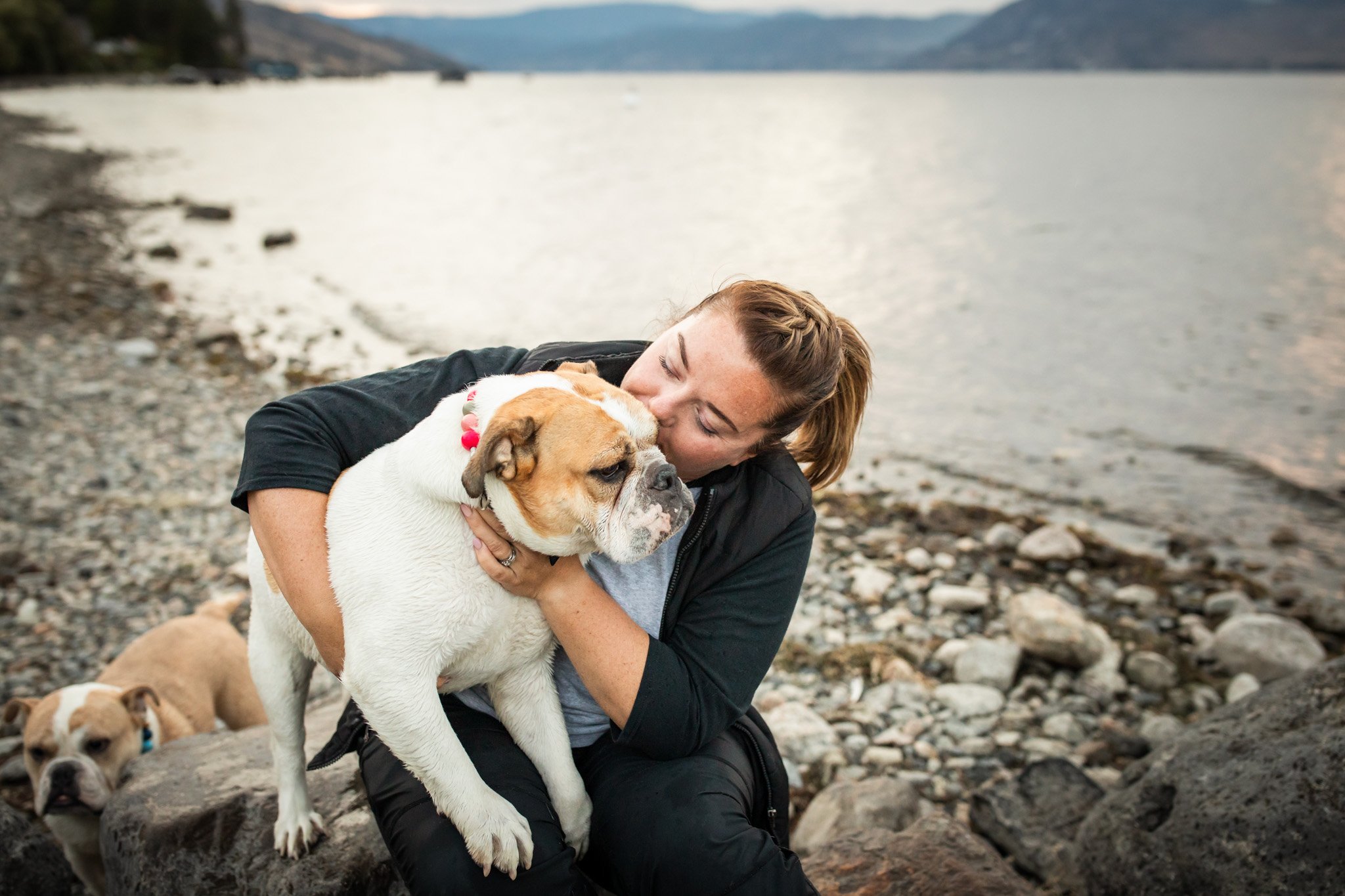 ErinBrodskyPhotography-Kelowna_Okanagan_Pet_Photographer-Dogs_beach_lake-22.jpg