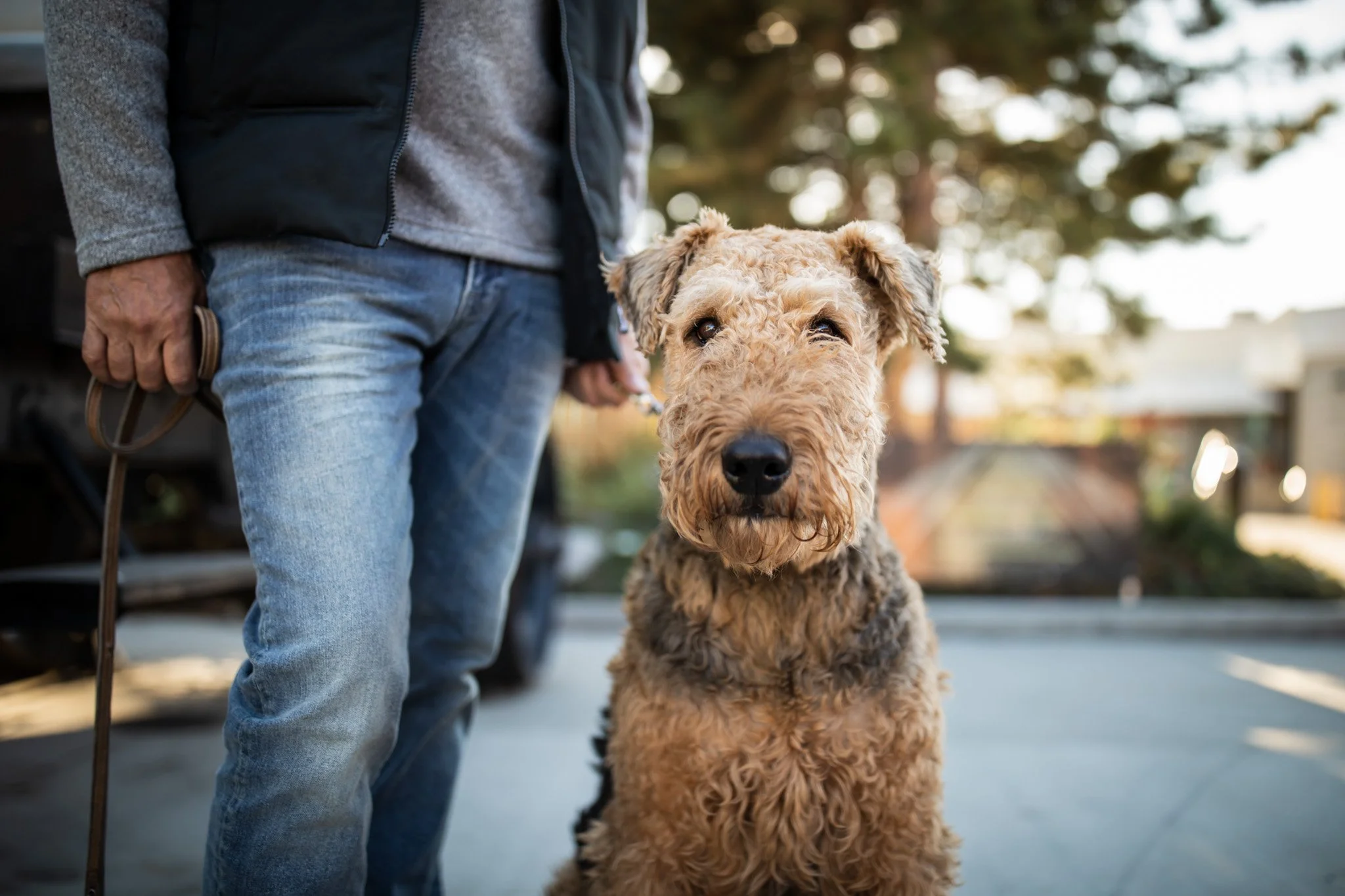 Erin Brodsky Photography Kelowna & Okanagan Pet Photographer