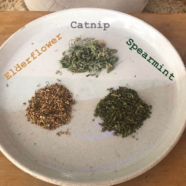 Herbal Remedy #9: Temperature Down... Elderflower. Catnip. Spearmint. This blend is effective at reducing fevers, especially in children. #fever #herbalmedicine #herbs #heal #healthylifestyle #healthyfood #herbalremedies #theyummyheart #tea