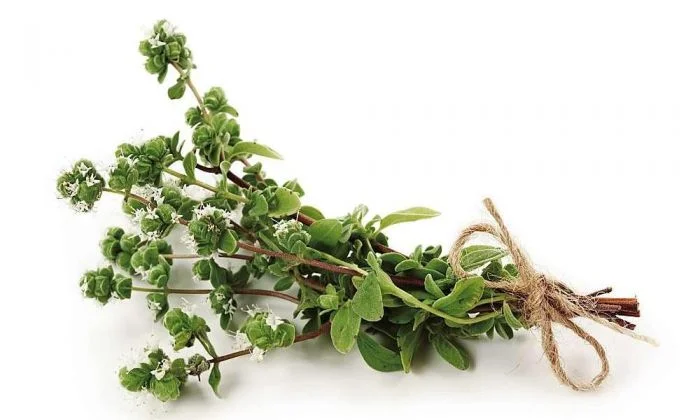 Litsea Cubeba