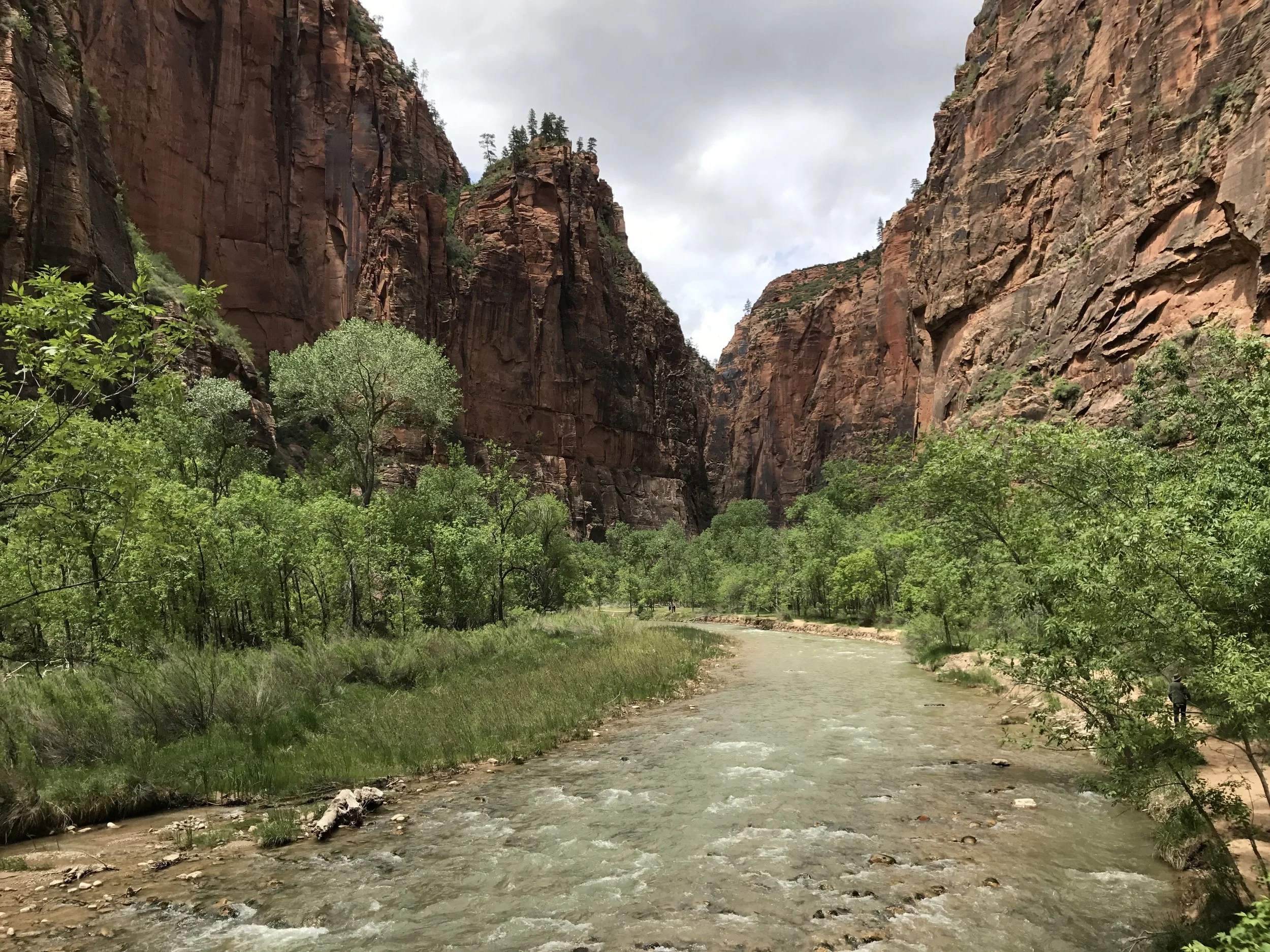 Virgin River - Zion
