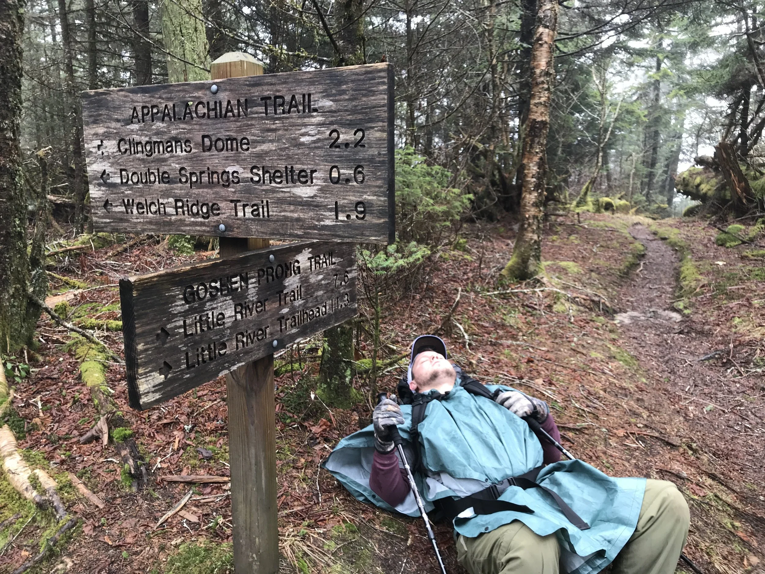 Smoky Mountains (Clingman's Dome) - April 2018
