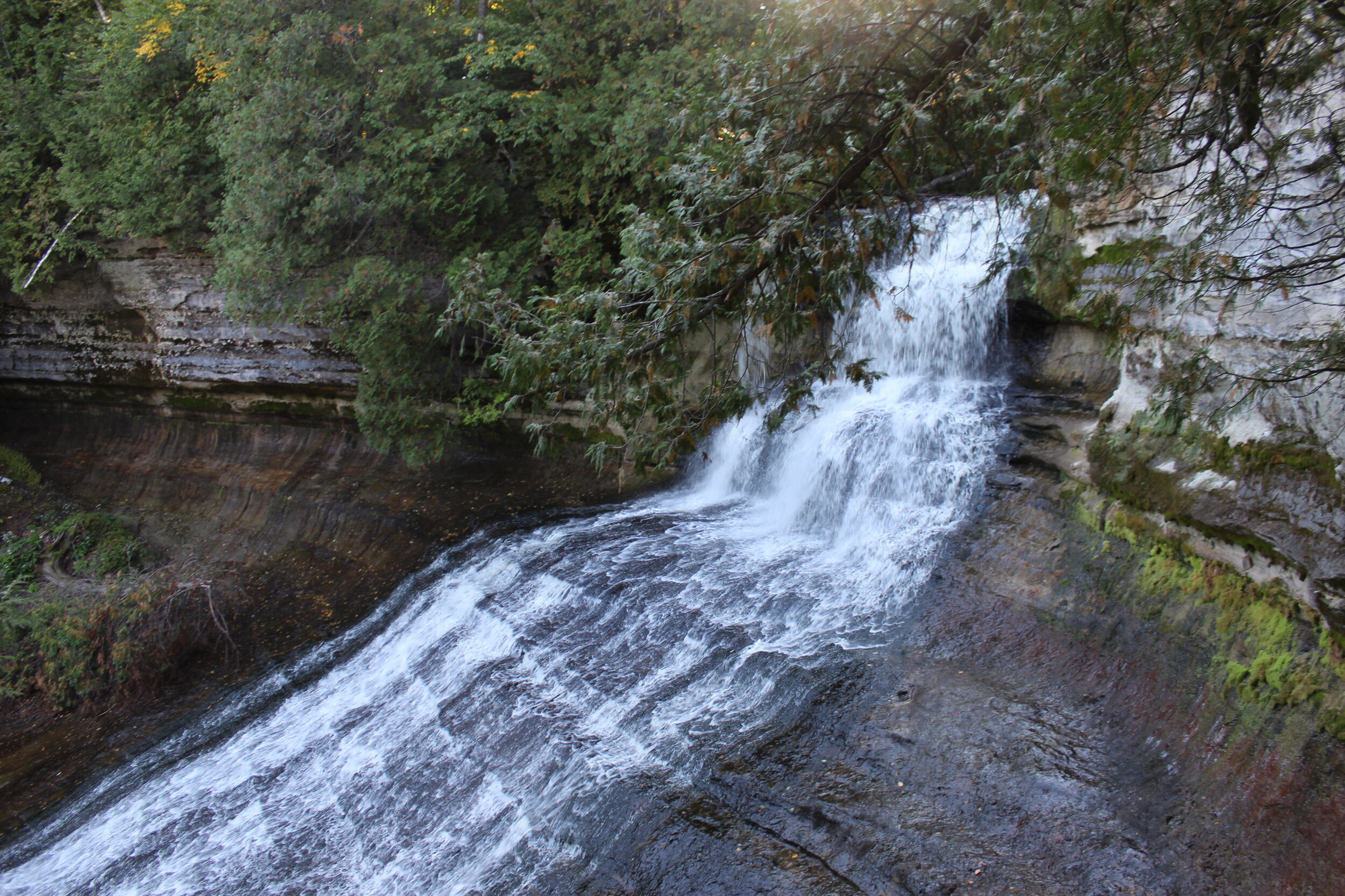 Laughing Whitefish - Munising