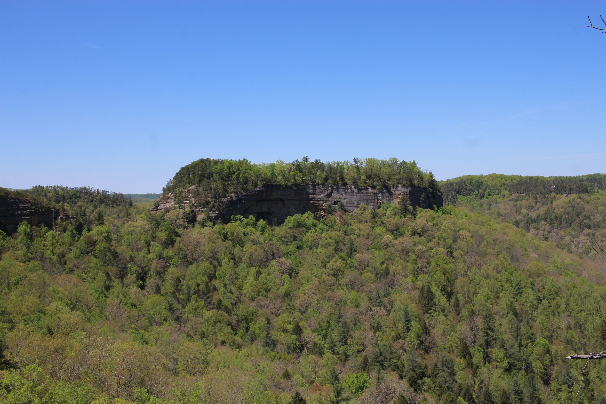 Rough Trail and Hansen's Point - May 2021