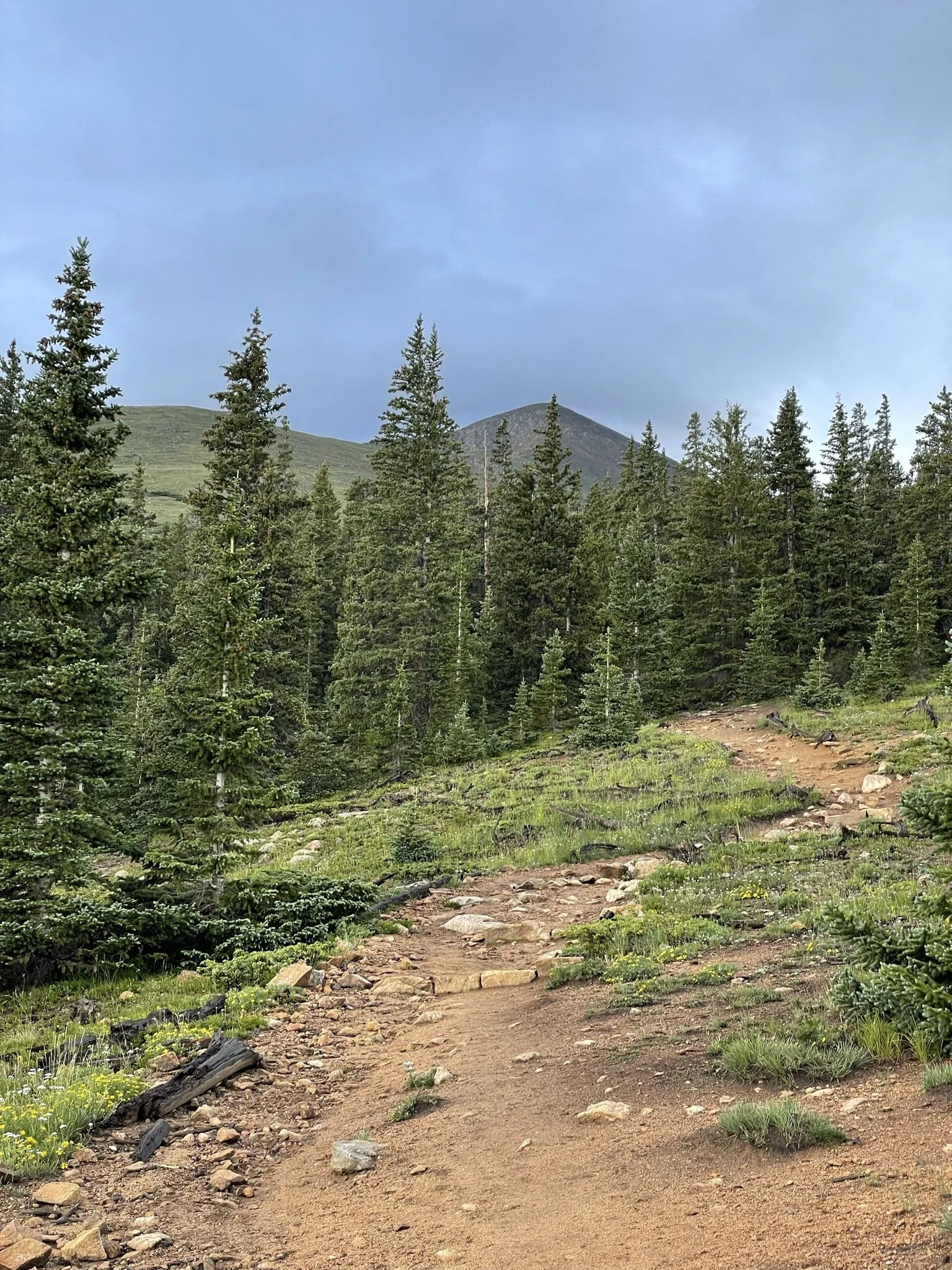 Mount Elbert Summit - July 2021
