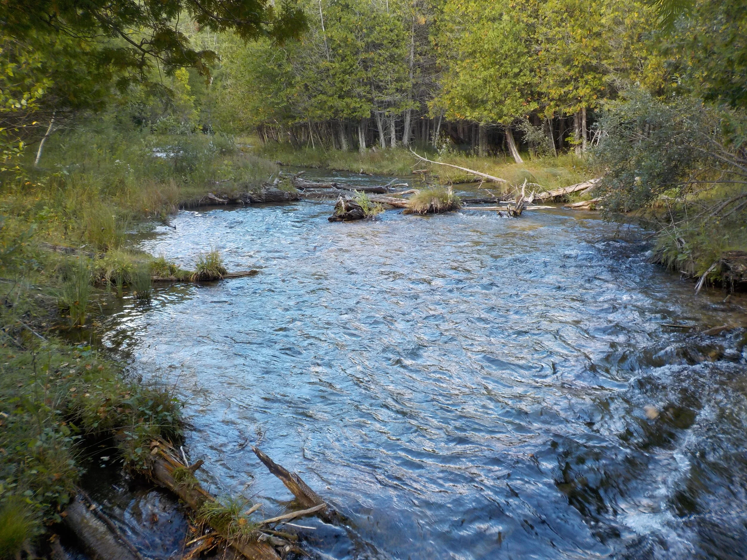 Jordan River Valley - September 2016