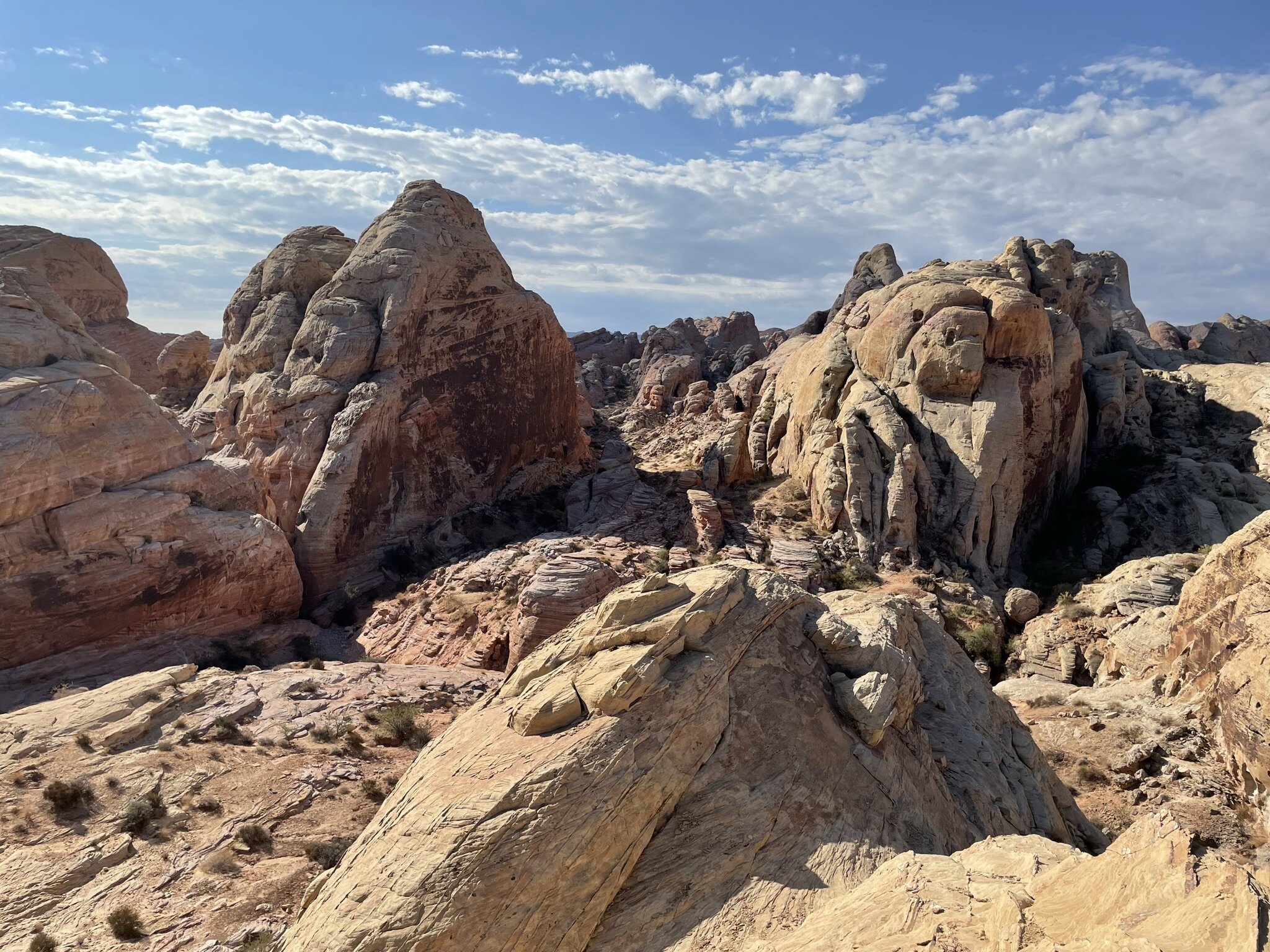 White Domes - Valley of Fire