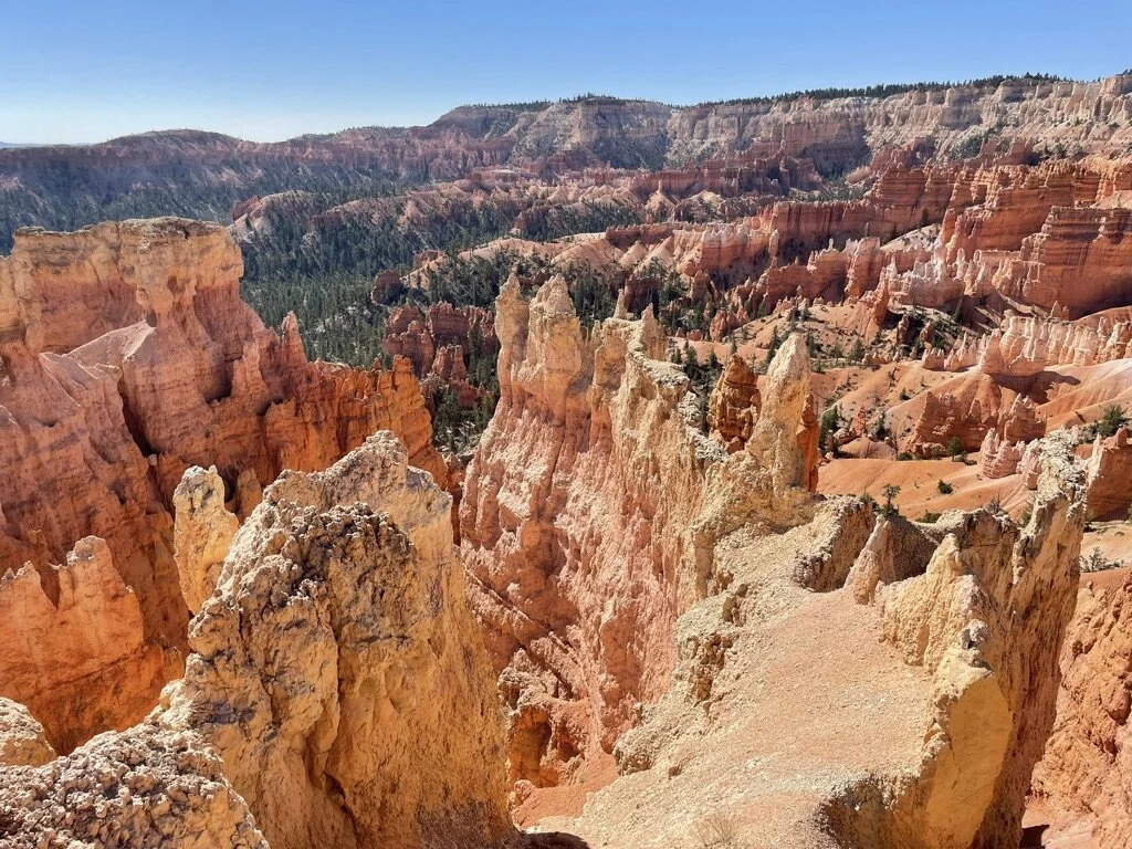Figure 8 Trail - September 2021