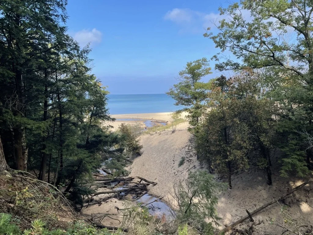 Nordhouse Dunes Wilderness - October 2021