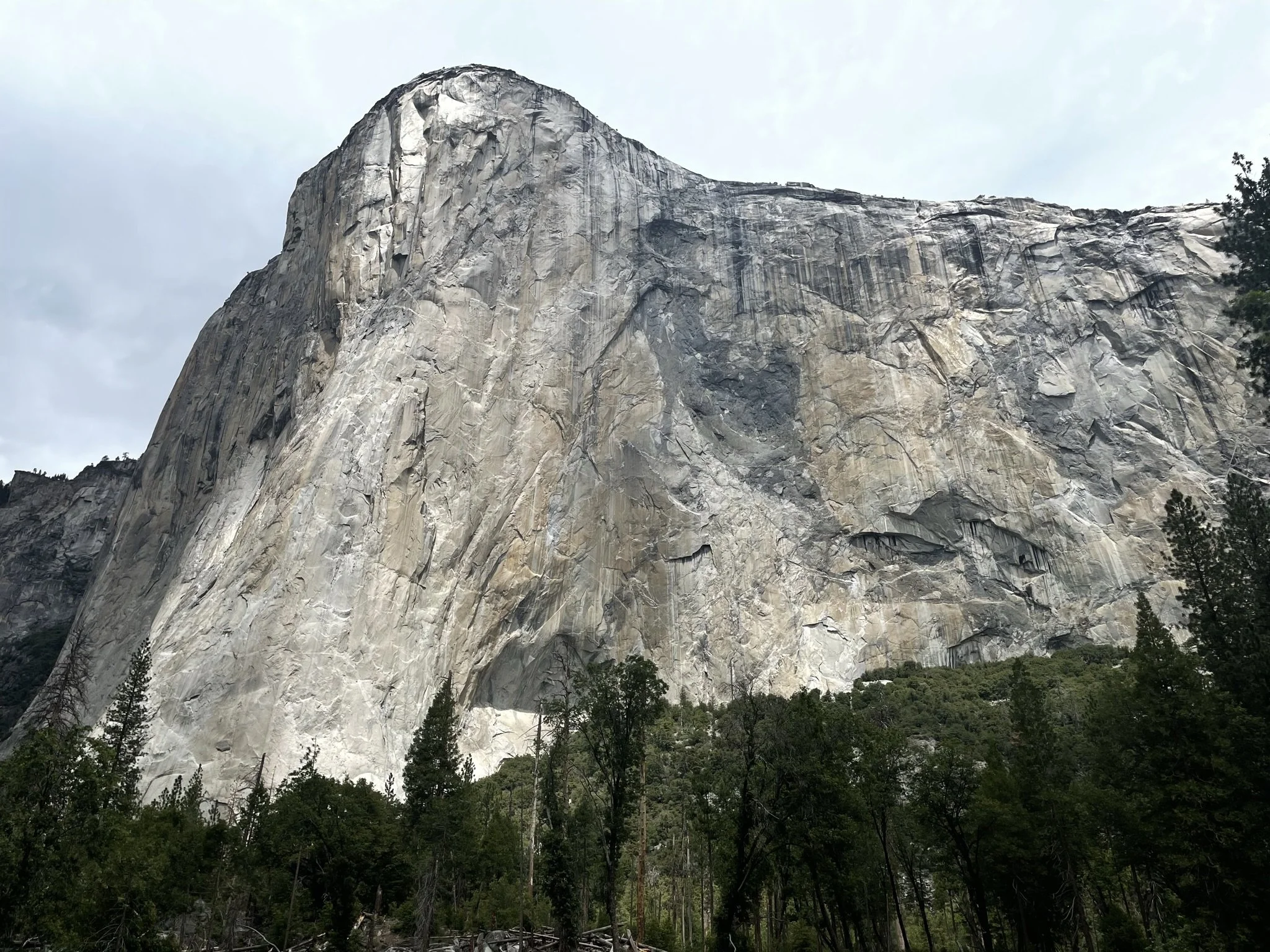 El Capitan - Yosemite National Park