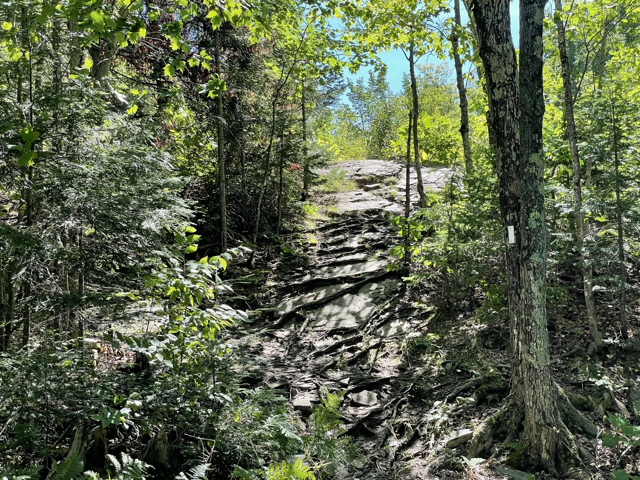 Little Garlic Falls Trail