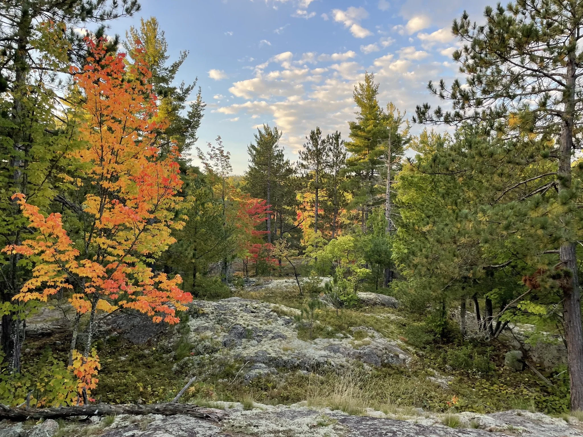 NCT near Hogback Mountain