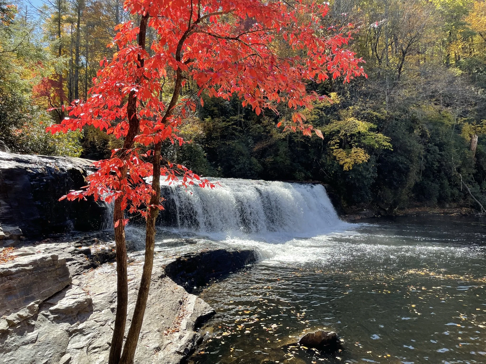 Hooker Falls - DuPont State Park, NC