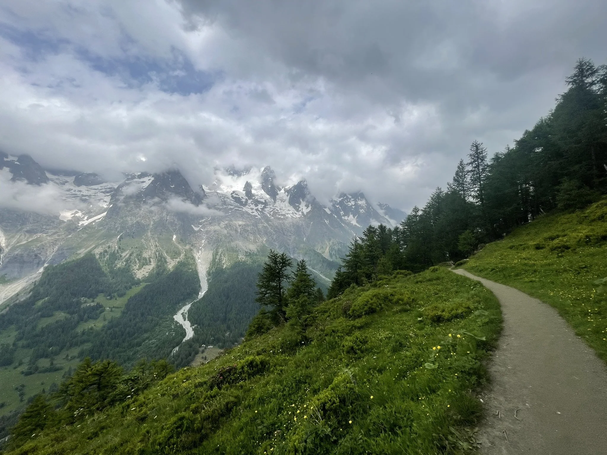 The Mont Blanc Massif (Italian side), wildflowers, and an incredible trail.
